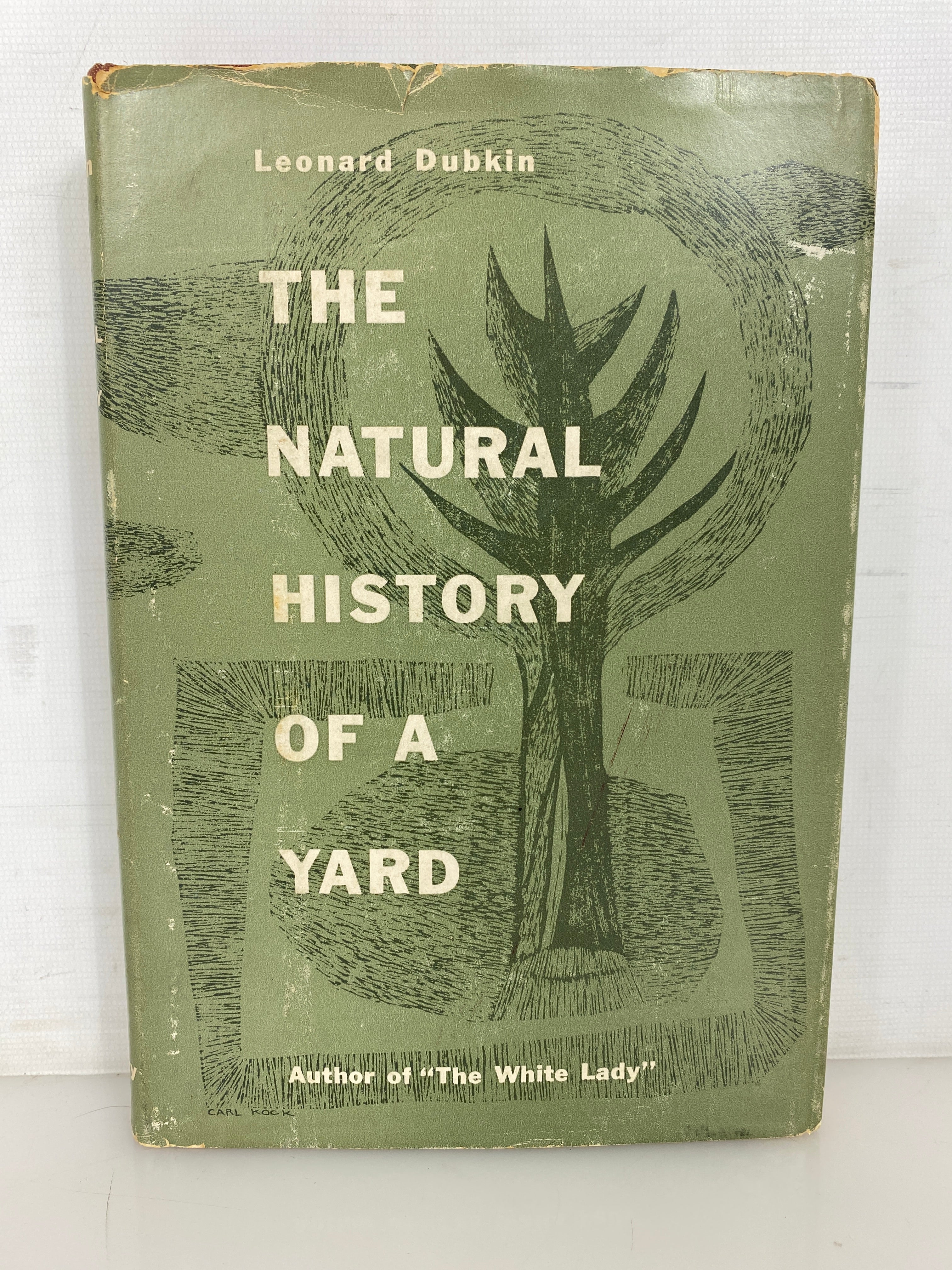 The Natural History of a Yard by Leonard Dubkin 1955 Vintage HC DJ