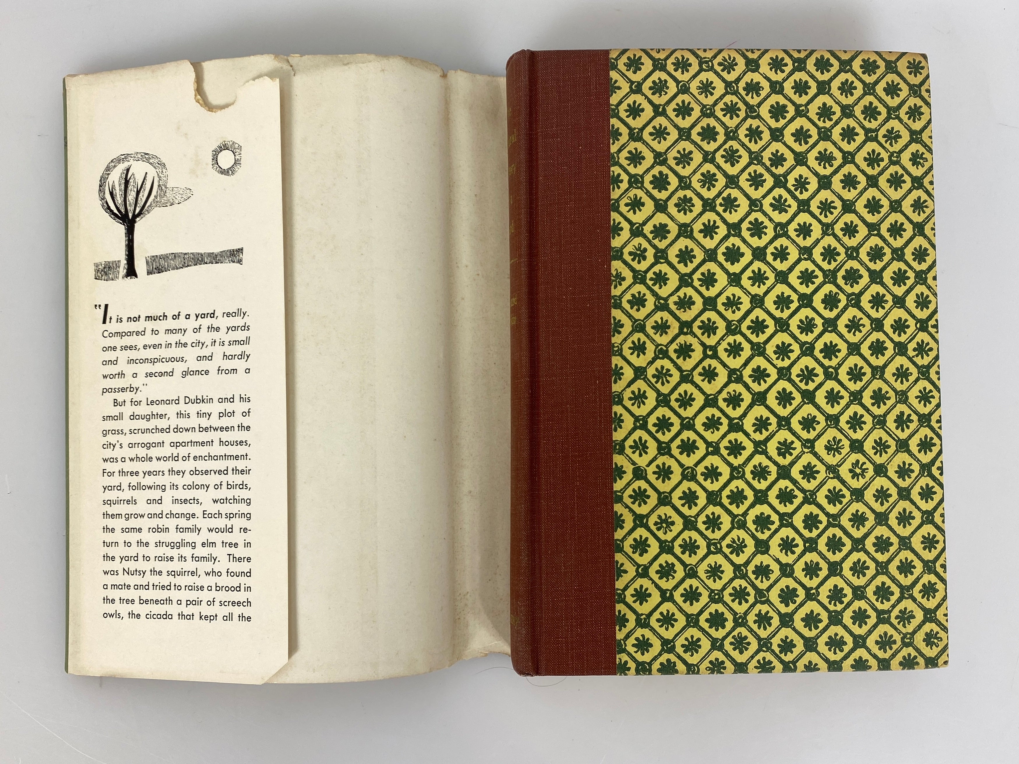 The Natural History of a Yard by Leonard Dubkin 1955 Vintage HC DJ