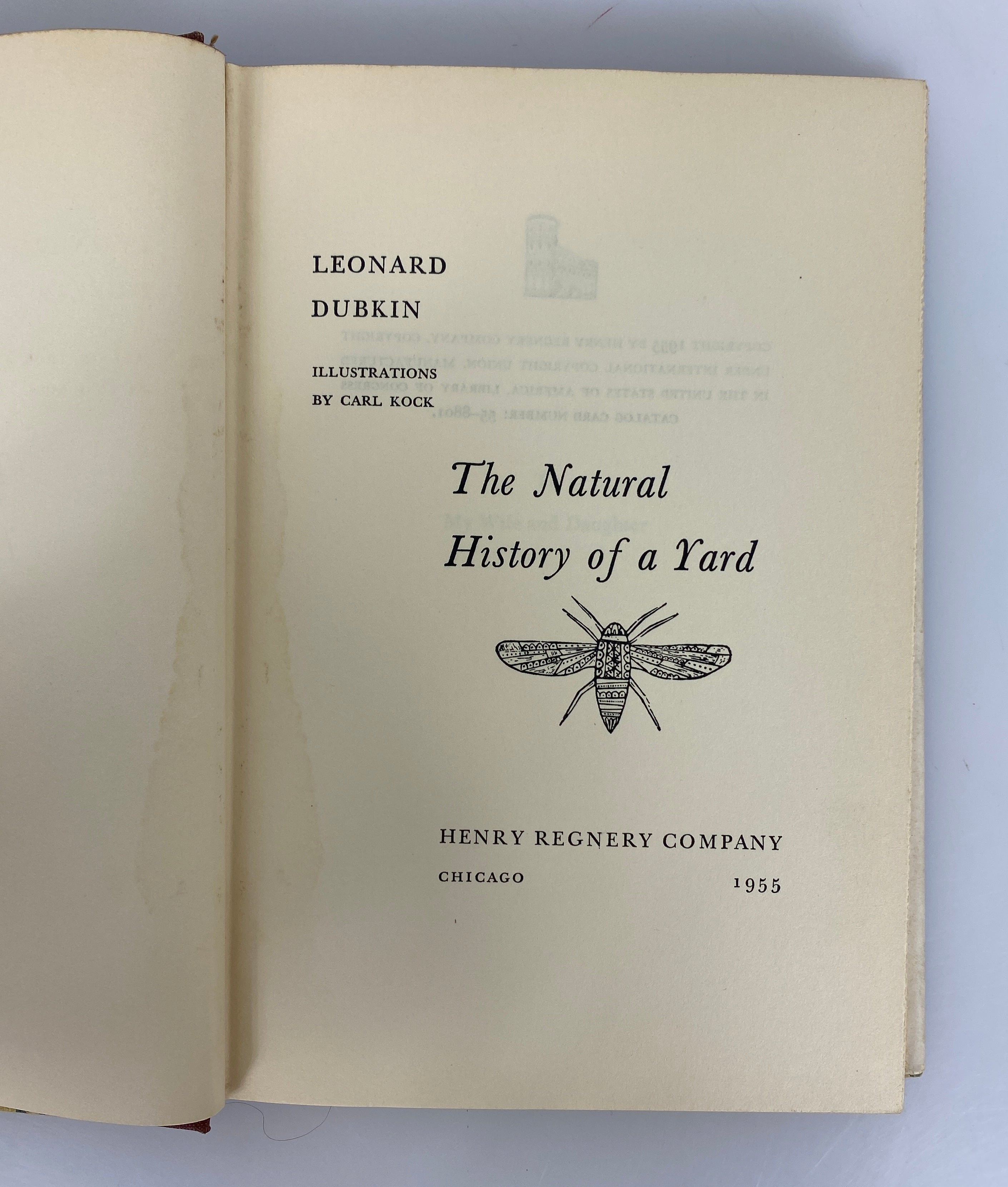 The Natural History of a Yard by Leonard Dubkin 1955 Vintage HC DJ