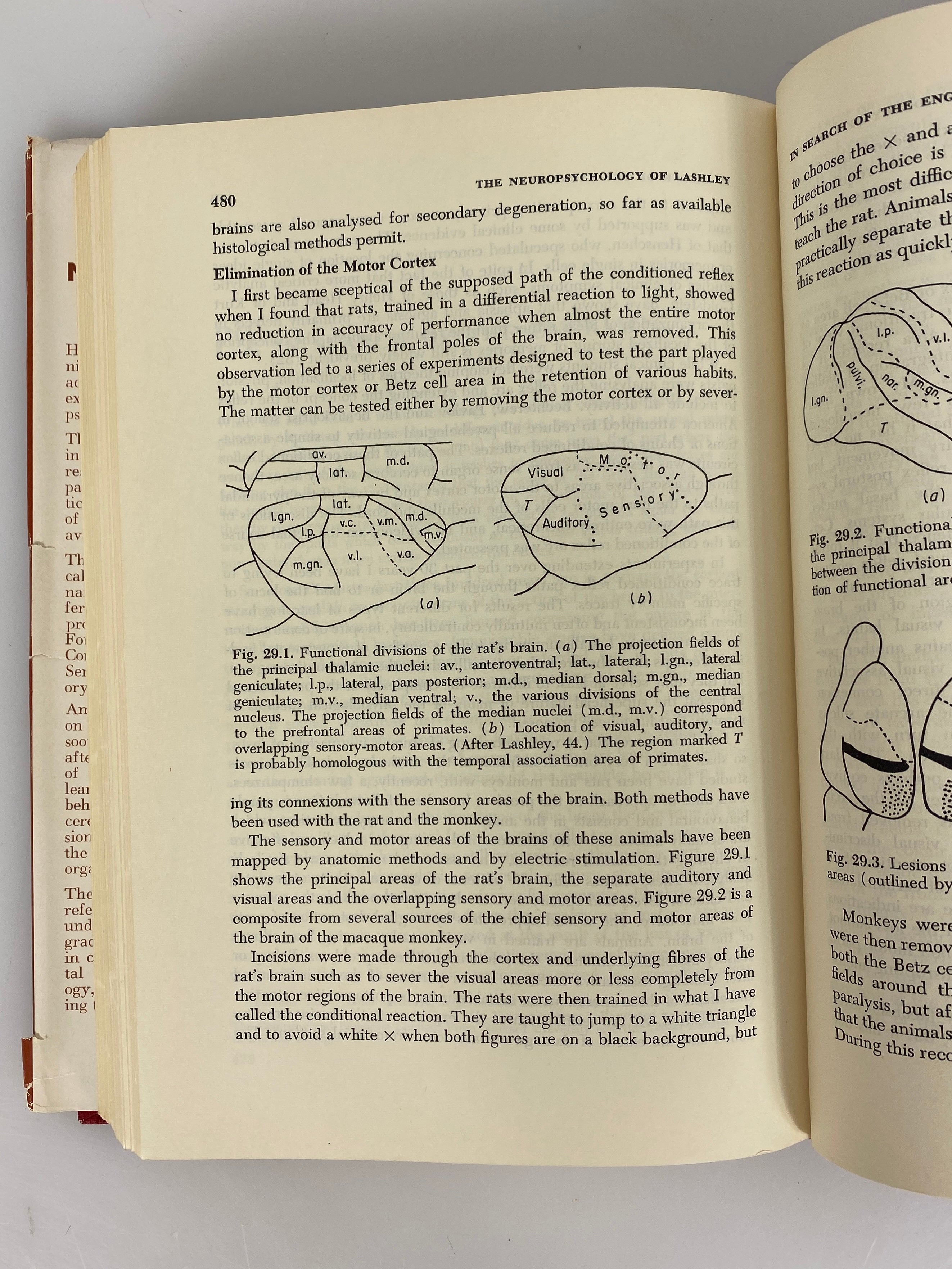 The Neuropsychology of Lashley 1960 McGraw-Hill Vintage HC DJ
