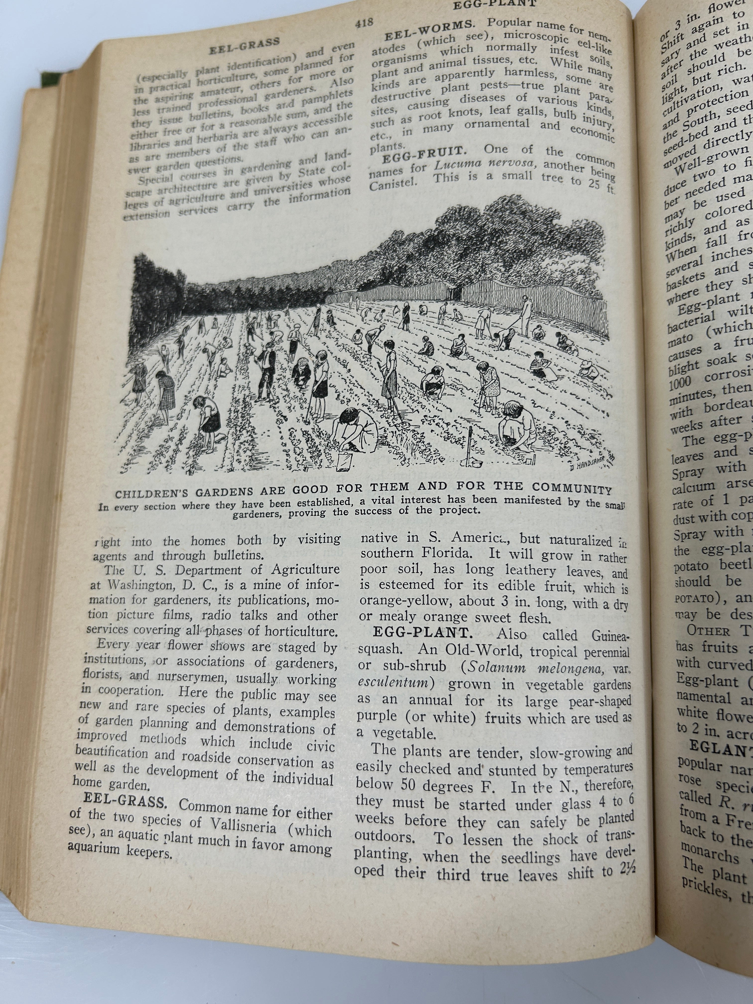 The New Garden Illustrated Encyclopedia Edit E.L.D. Seymour 1946 Wise & Co HC