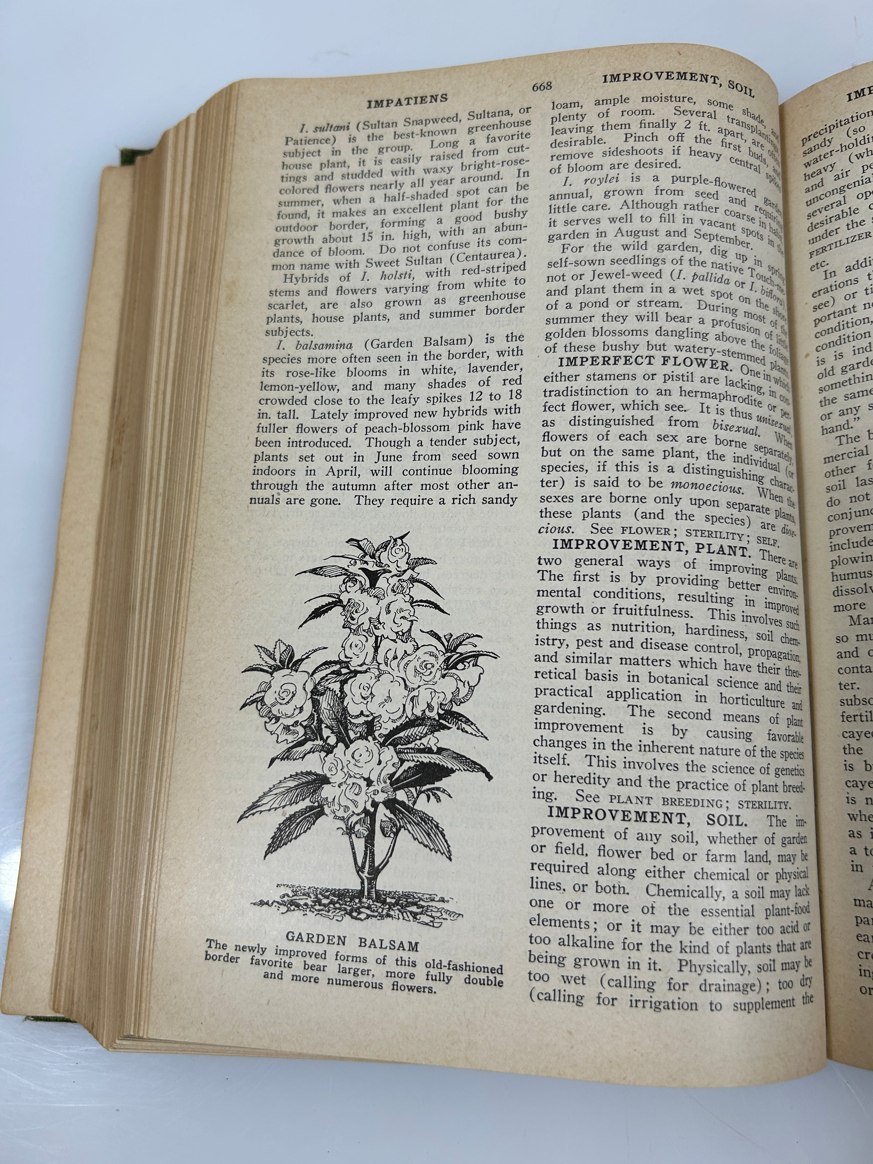 The New Garden Illustrated Encyclopedia Edit E.L.D. Seymour 1946 Wise & Co HC