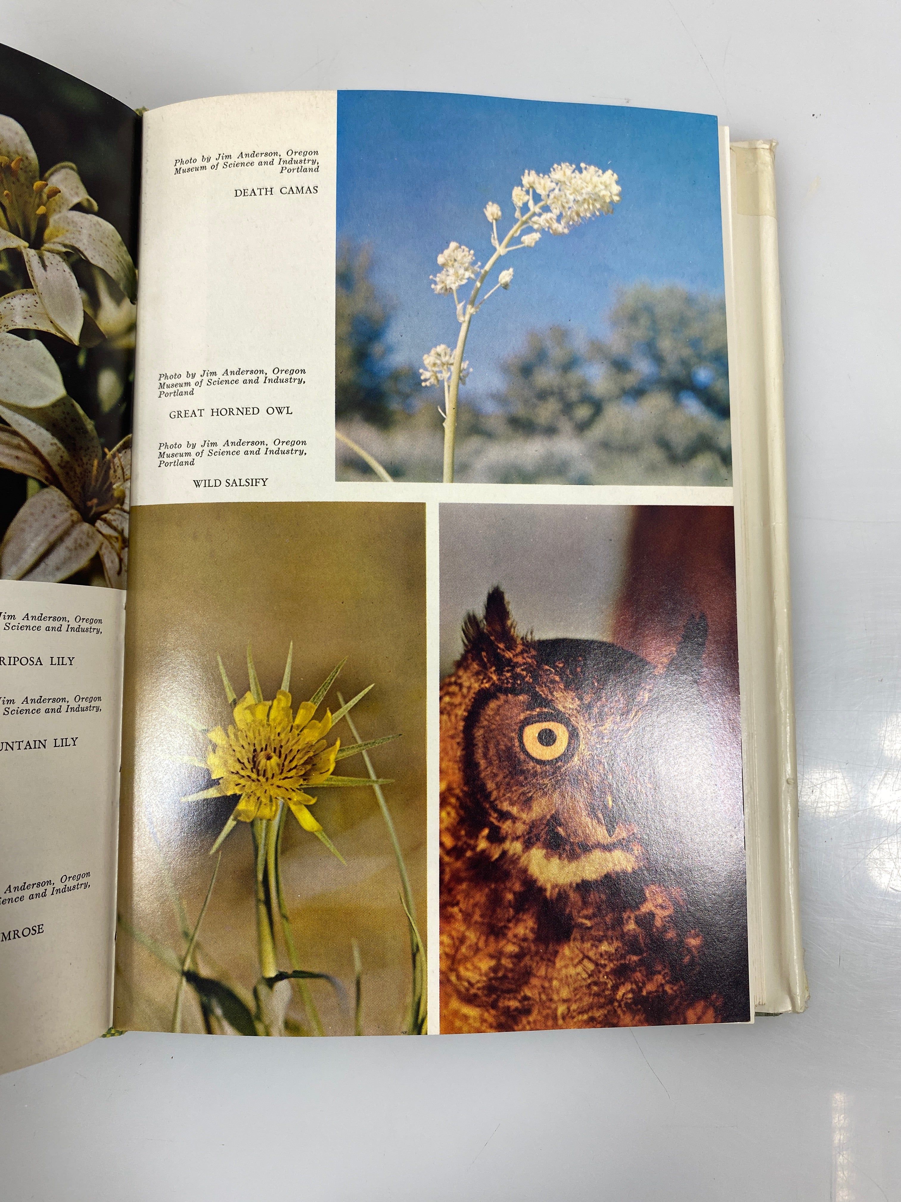 The Oregon Desert by Jackman & Long 1969 HCDJ