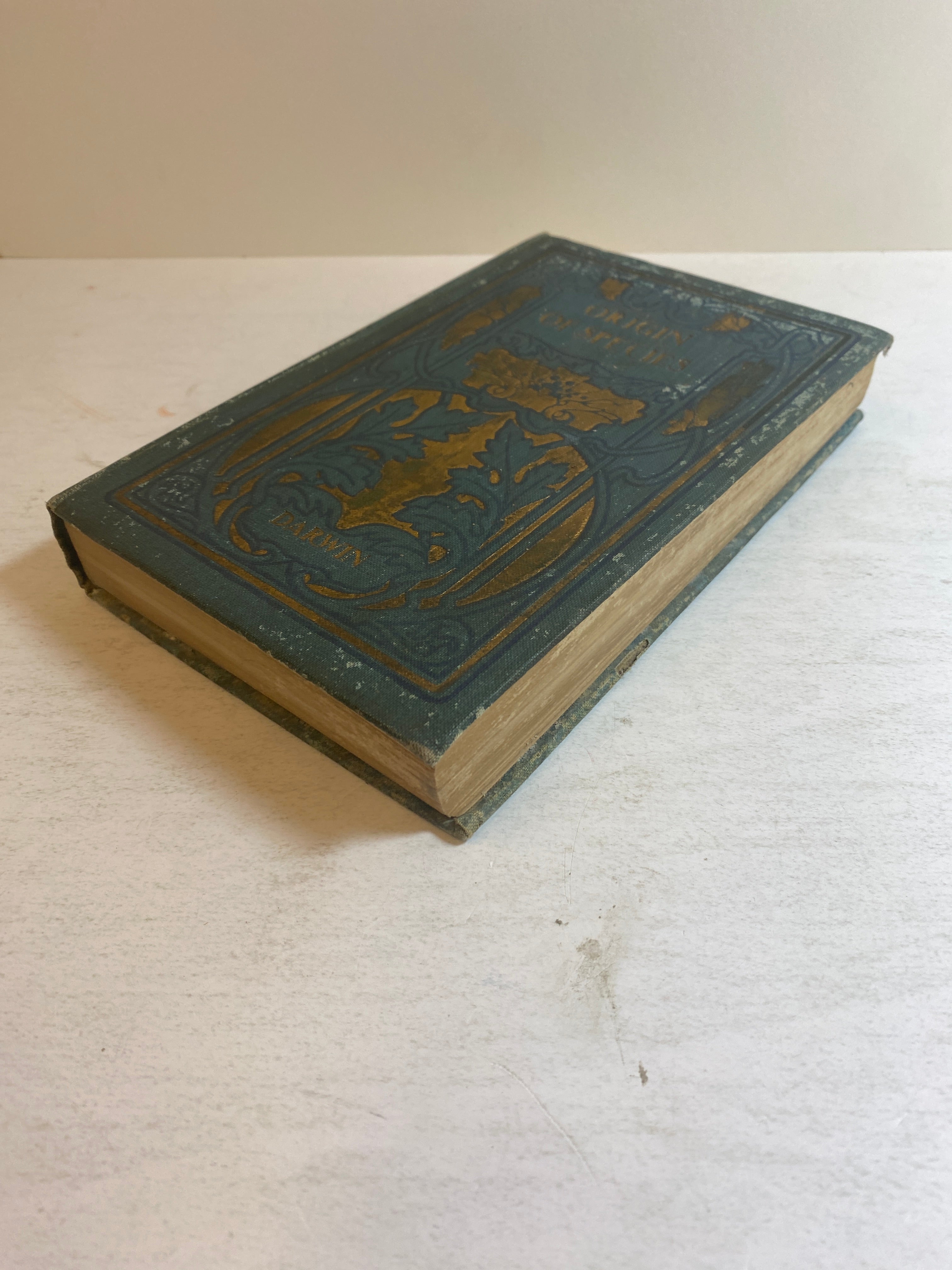 The Origin of Species Two Volumes in One Charles Darwin Antique HC c1900