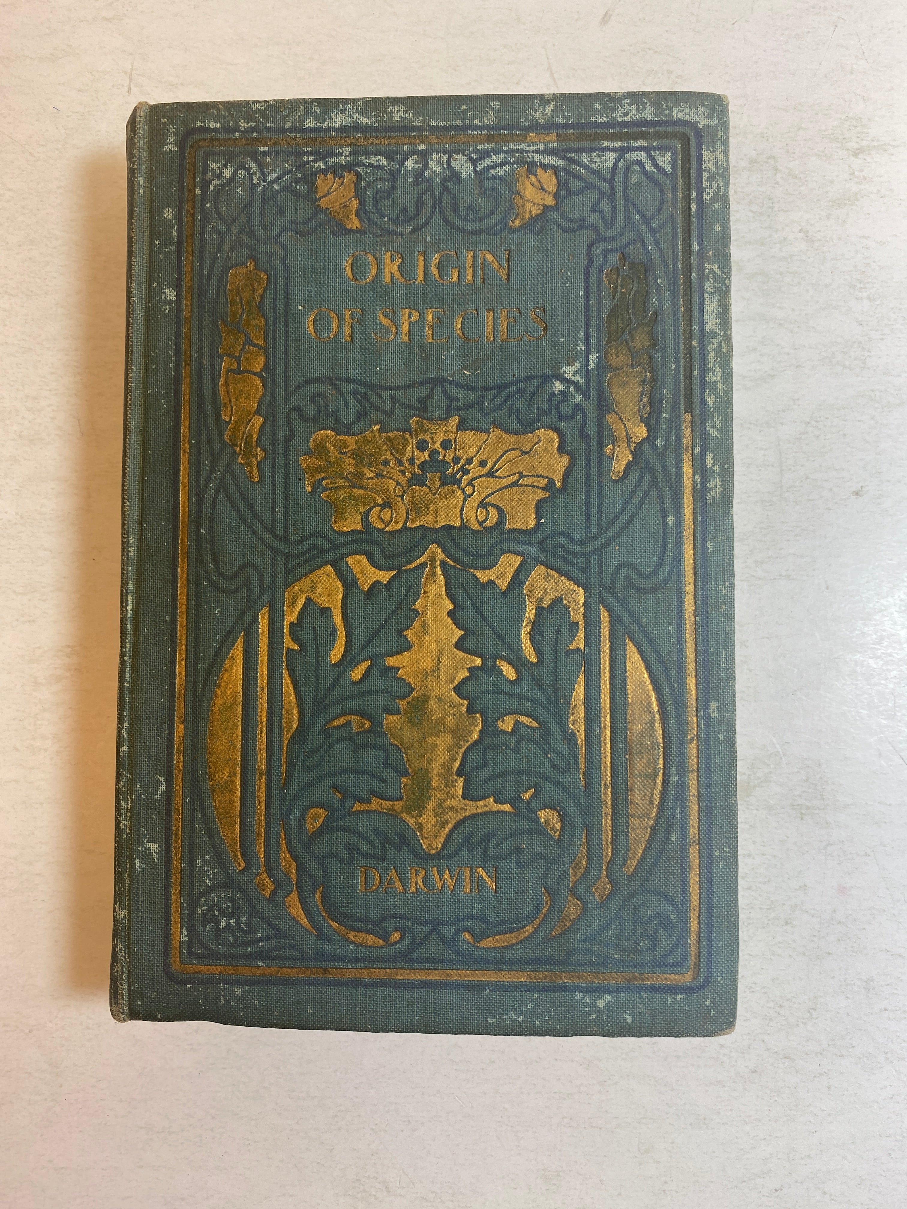 The Origin of Species Two Volumes in One Charles Darwin Antique HC c1900