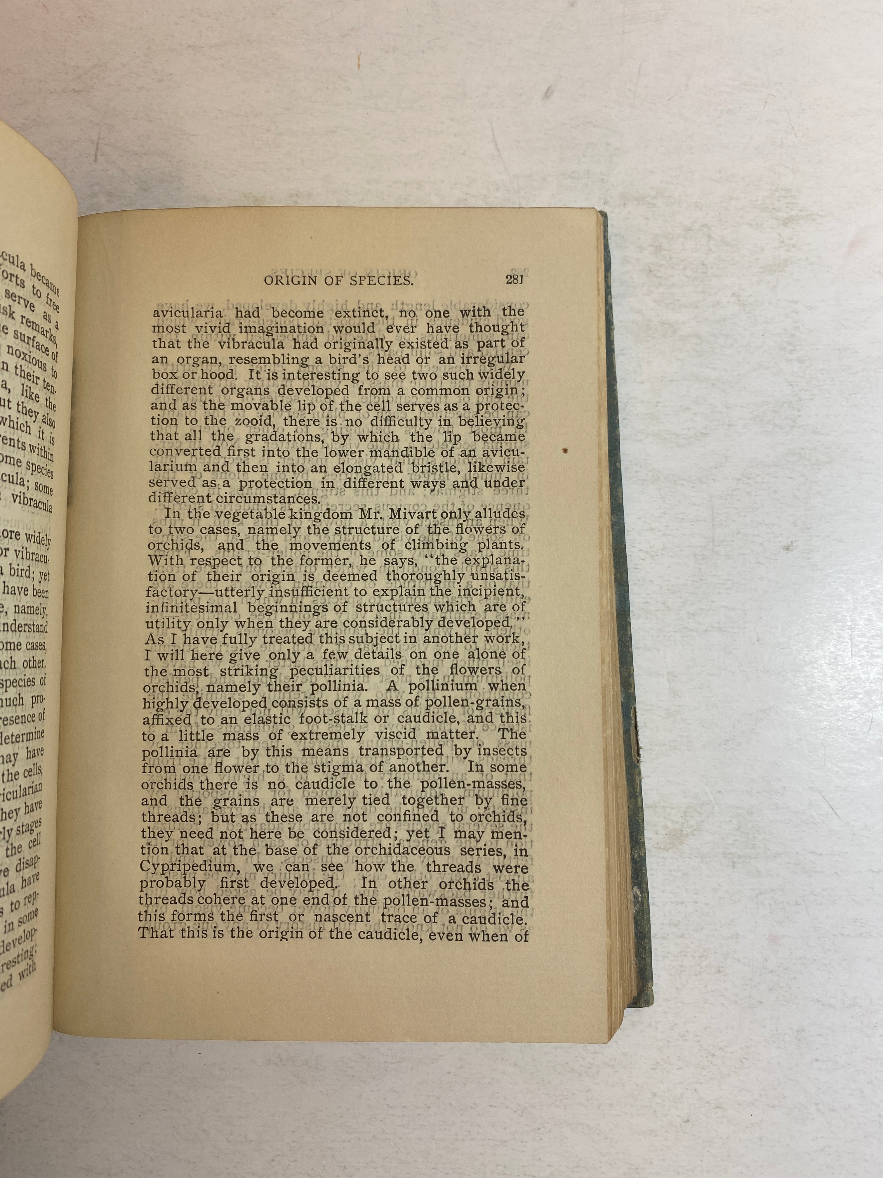 The Origin of Species Two Volumes in One Charles Darwin Antique HC c1900