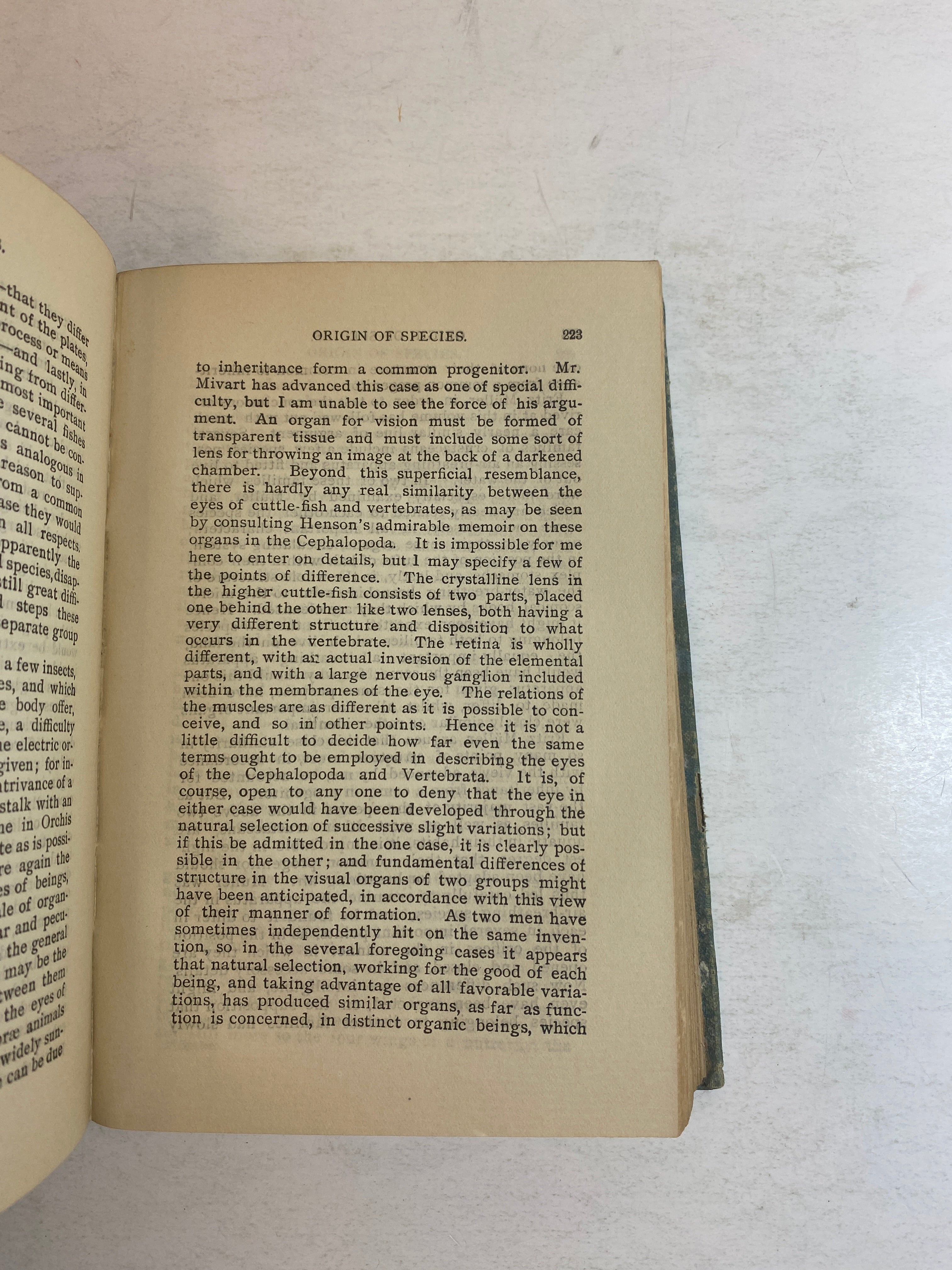The Origin of Species Two Volumes in One Charles Darwin Antique HC c1900