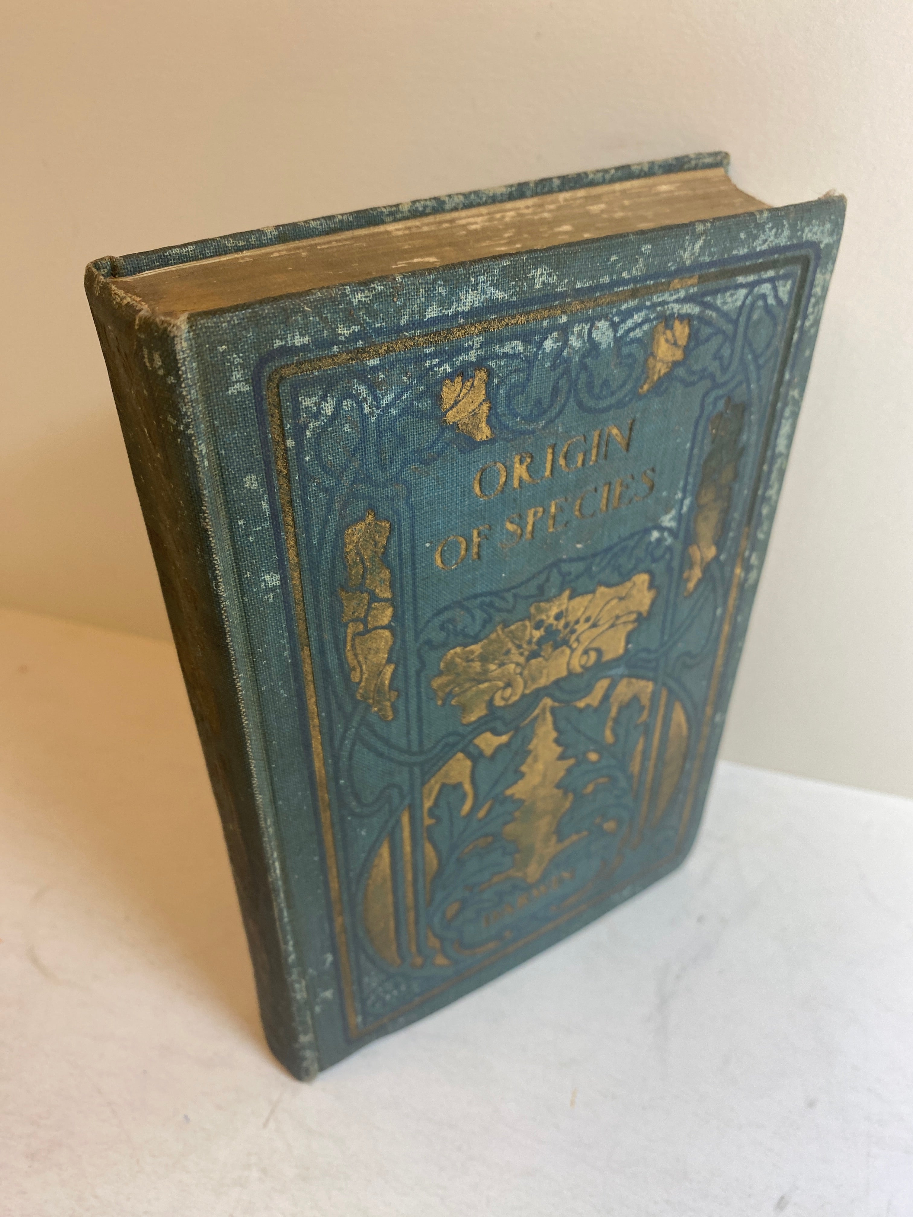 The Origin of Species Two Volumes in One Charles Darwin Antique HC c1900