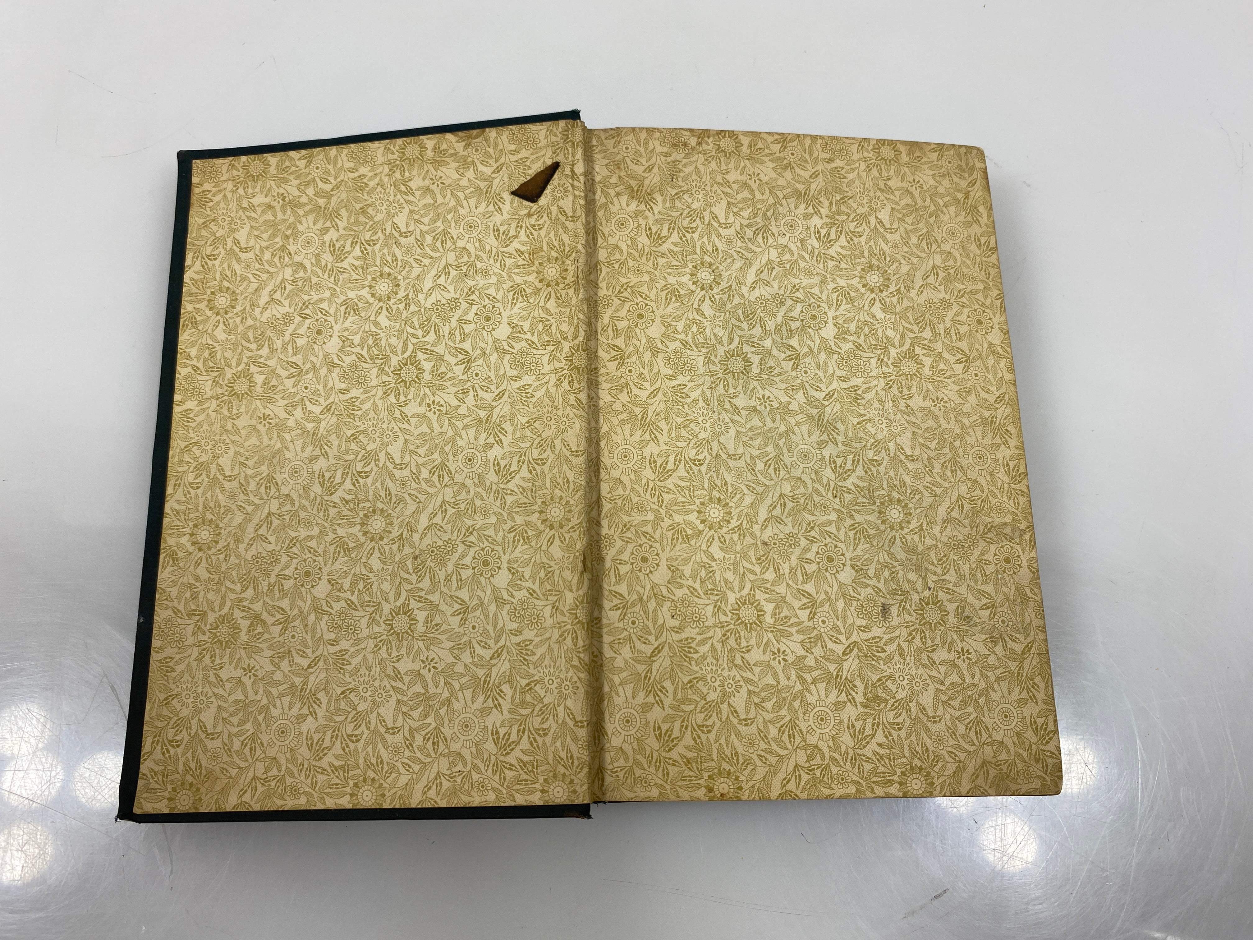 The Pioneers by Fenimore Cooper c1880's Antique HC