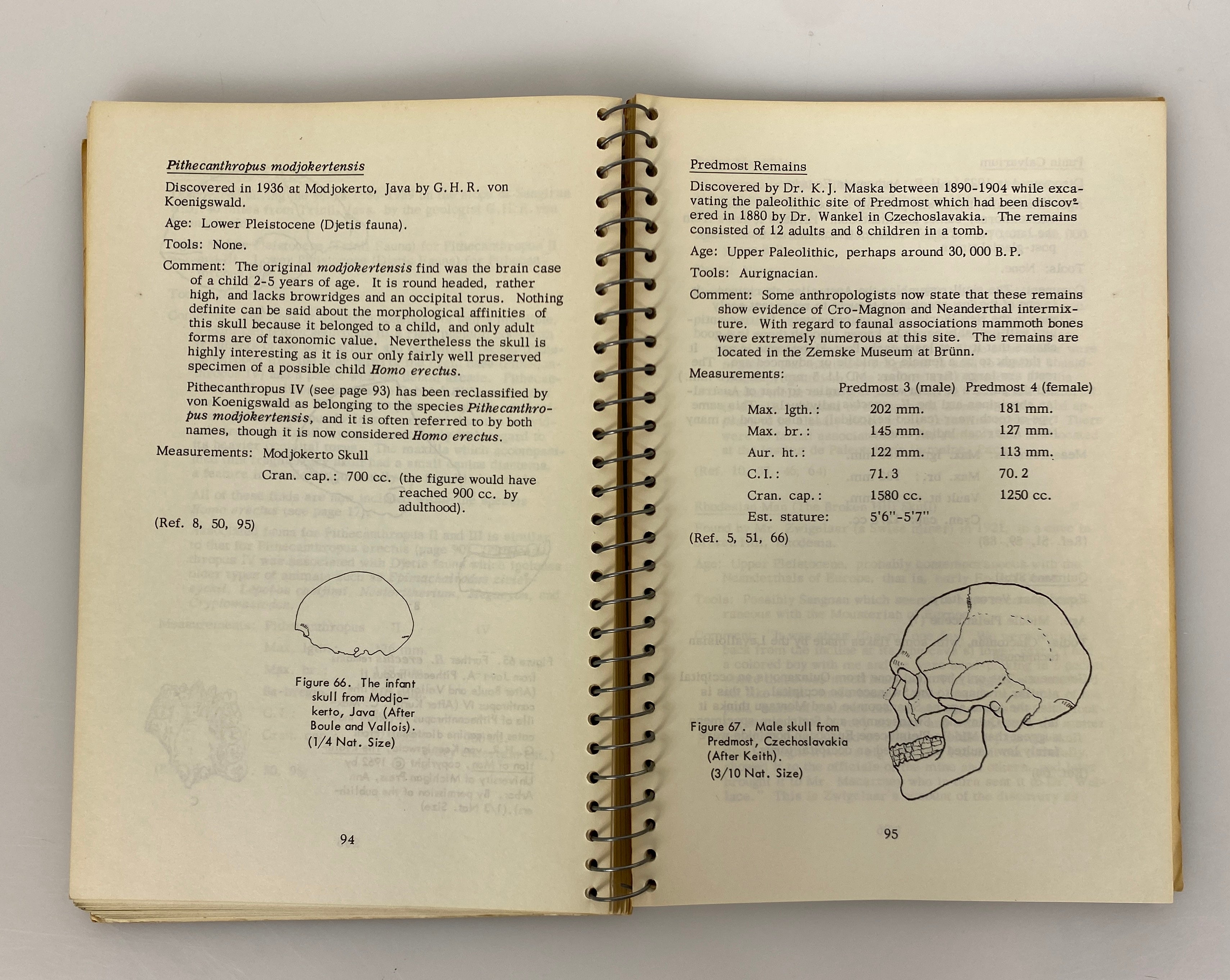 The Pleistocene Hominidae An Illustrated Key by Phenice 1969 Rare Spiral Bound
