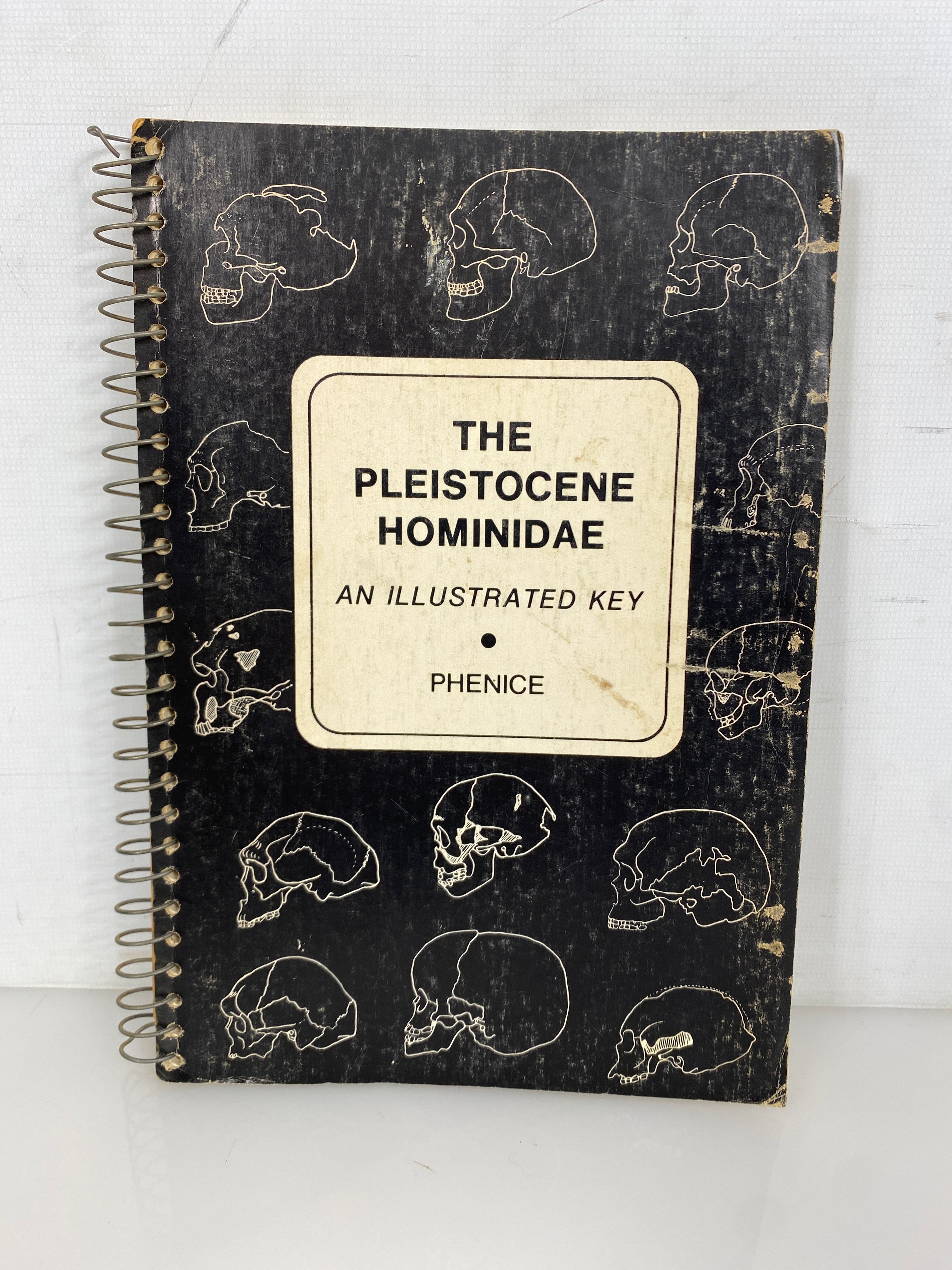 The Pleistocene Hominidae An Illustrated Key by Phenice 1969 Rare Spiral Bound