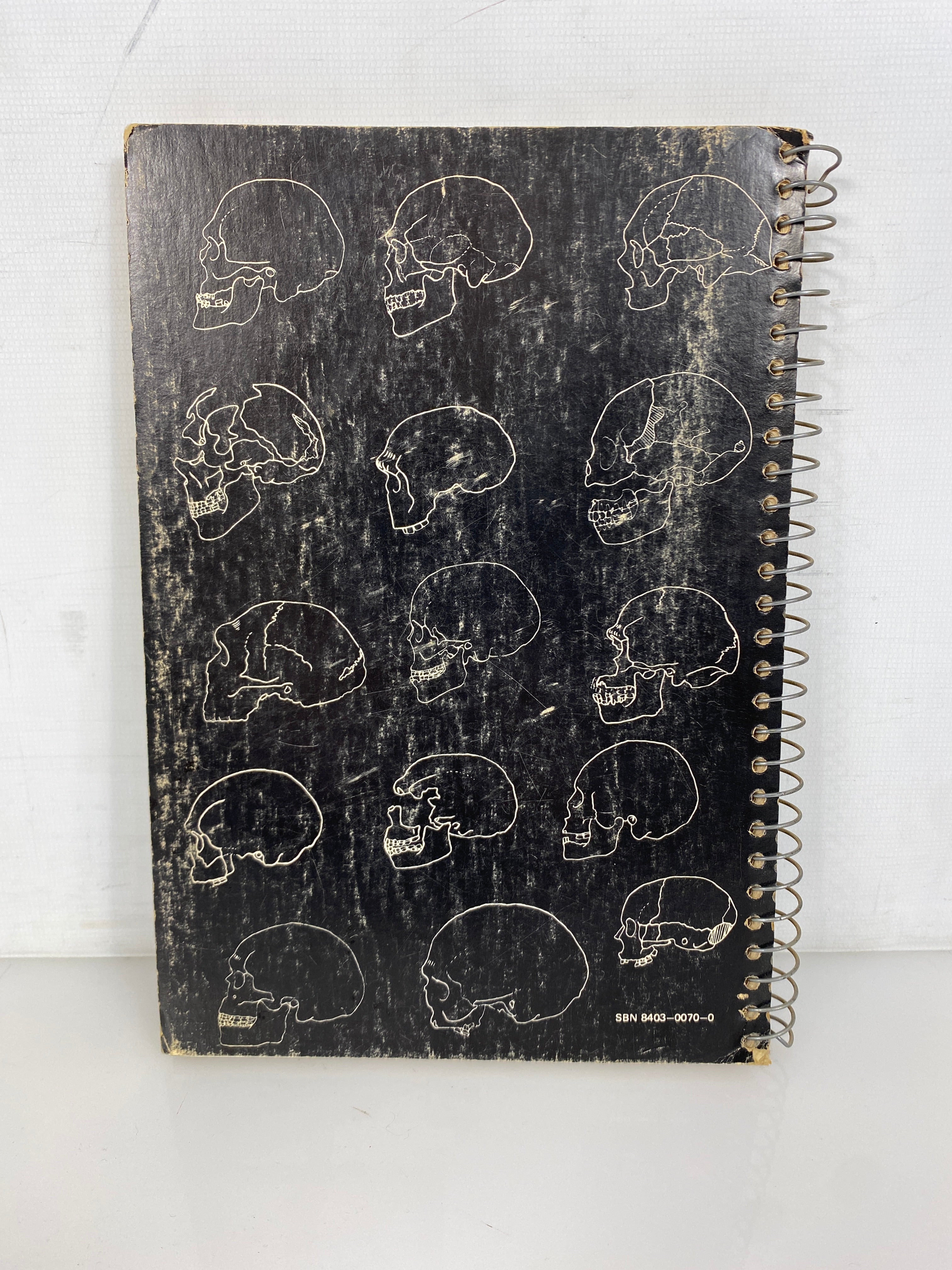 The Pleistocene Hominidae An Illustrated Key by Phenice 1969 Rare Spiral Bound
