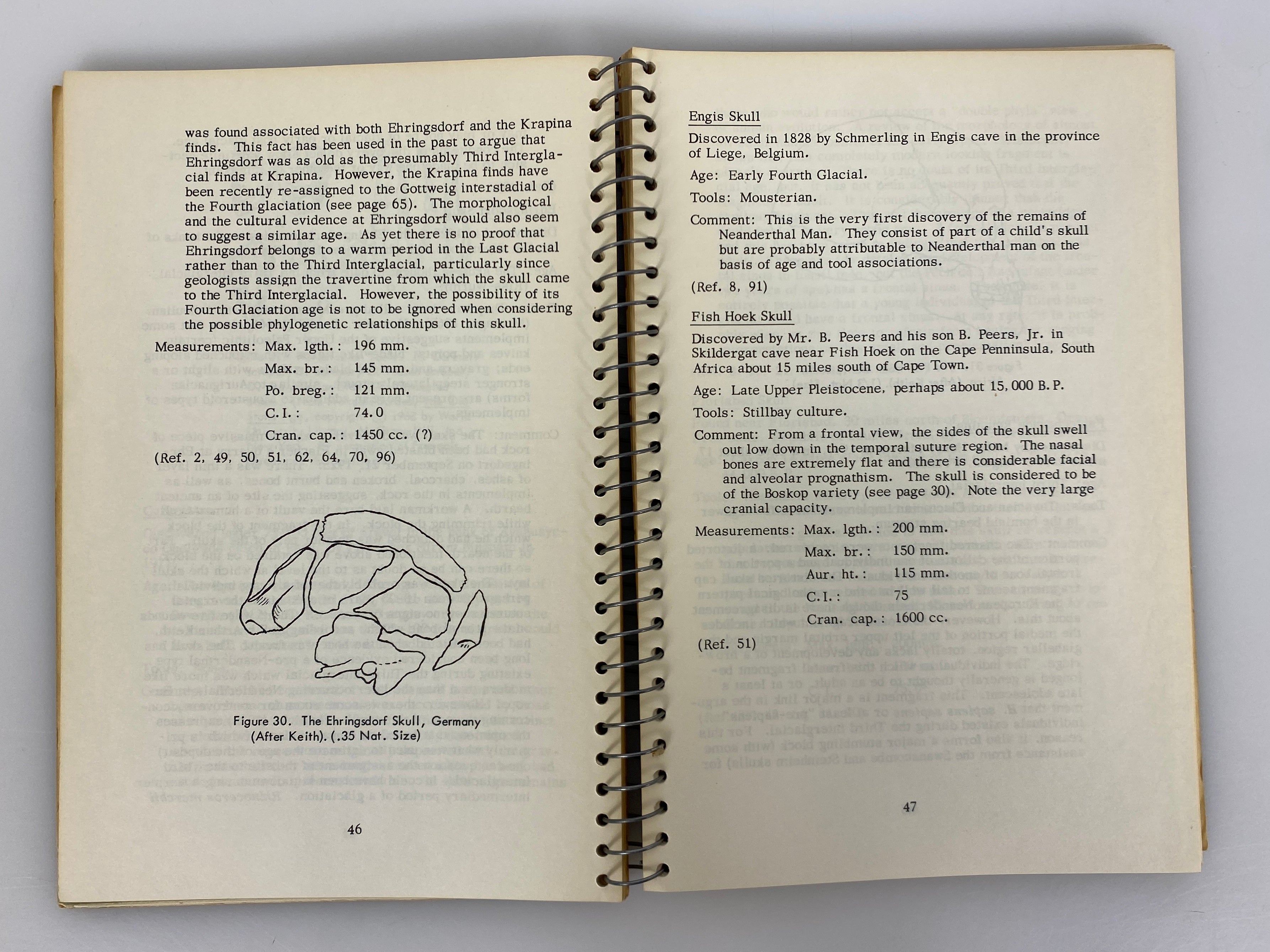 The Pleistocene Hominidae An Illustrated Key by Phenice 1969 Rare Spiral Bound