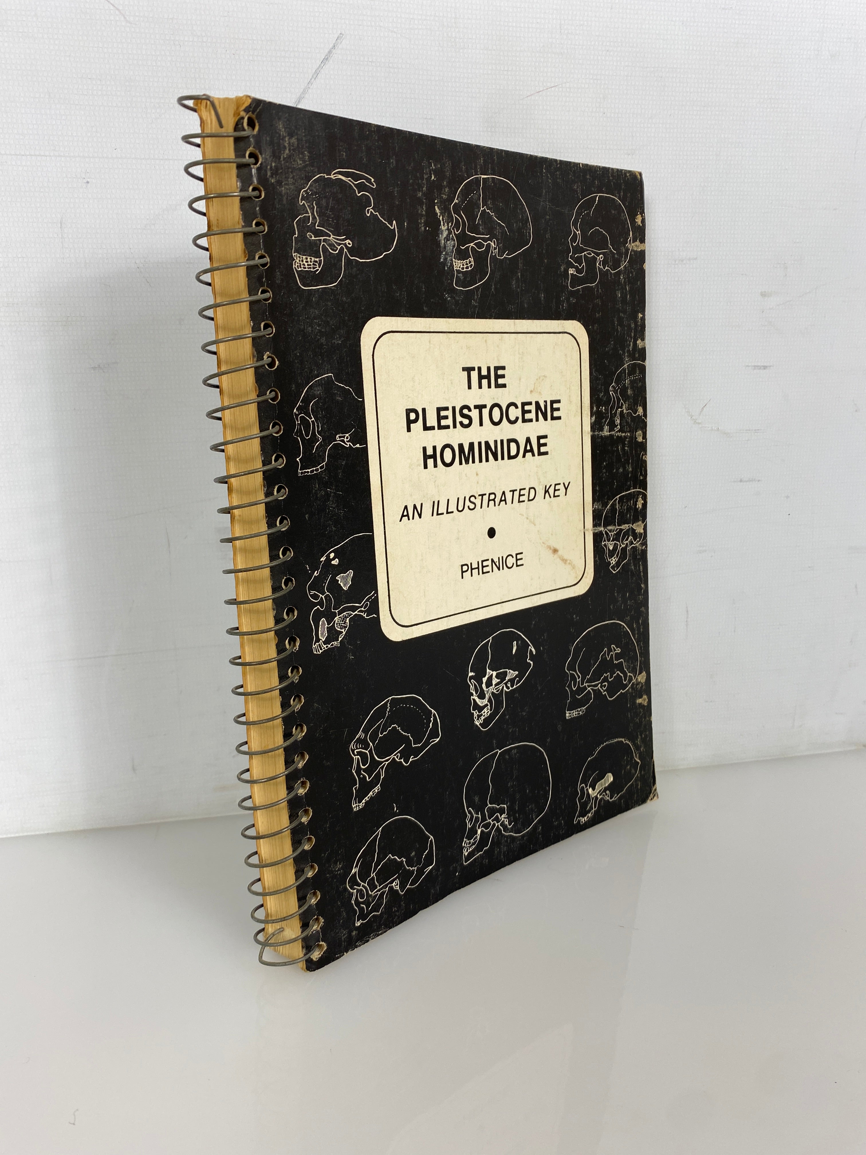 The Pleistocene Hominidae An Illustrated Key by Phenice 1969 Rare Spiral Bound