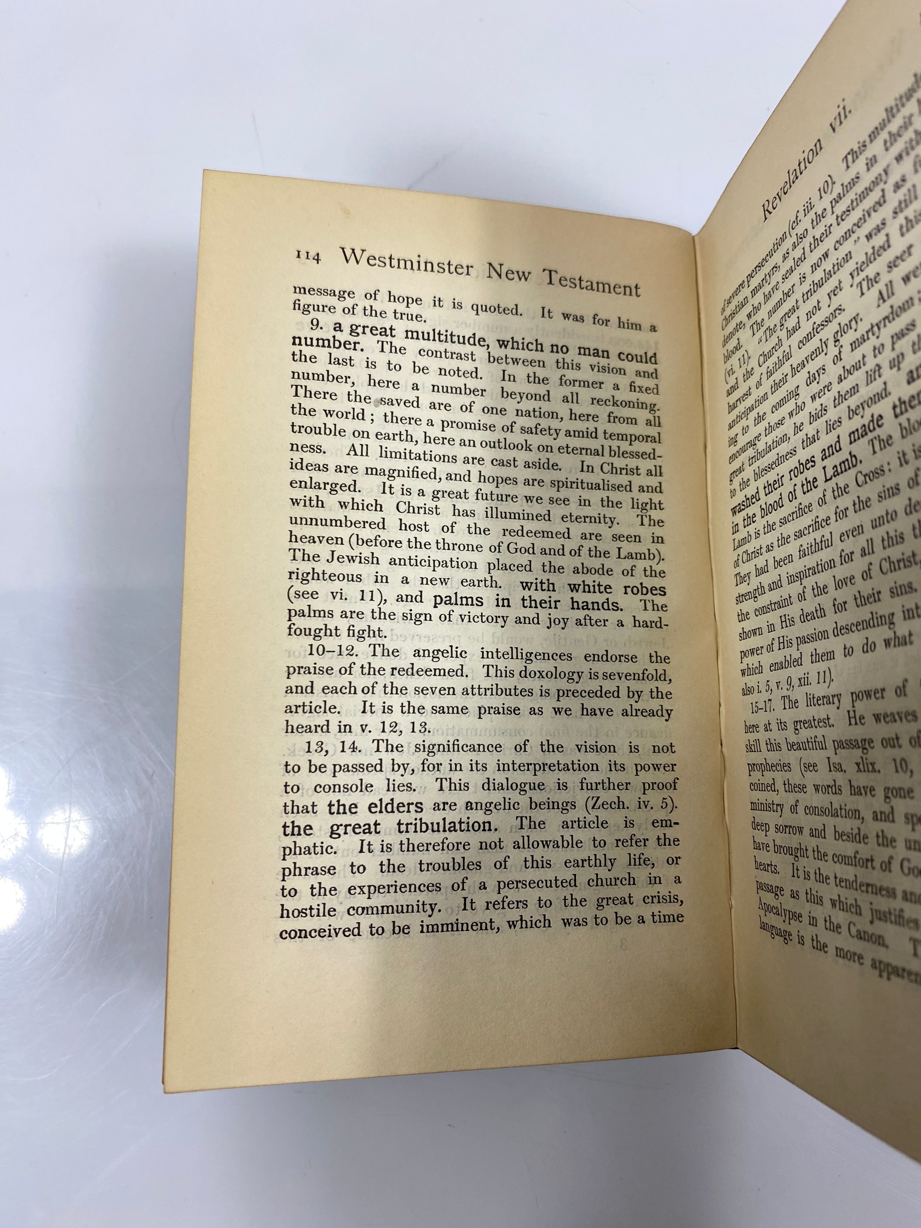 The Revelation and the Johannine Epistles by Garvie 1910 HC