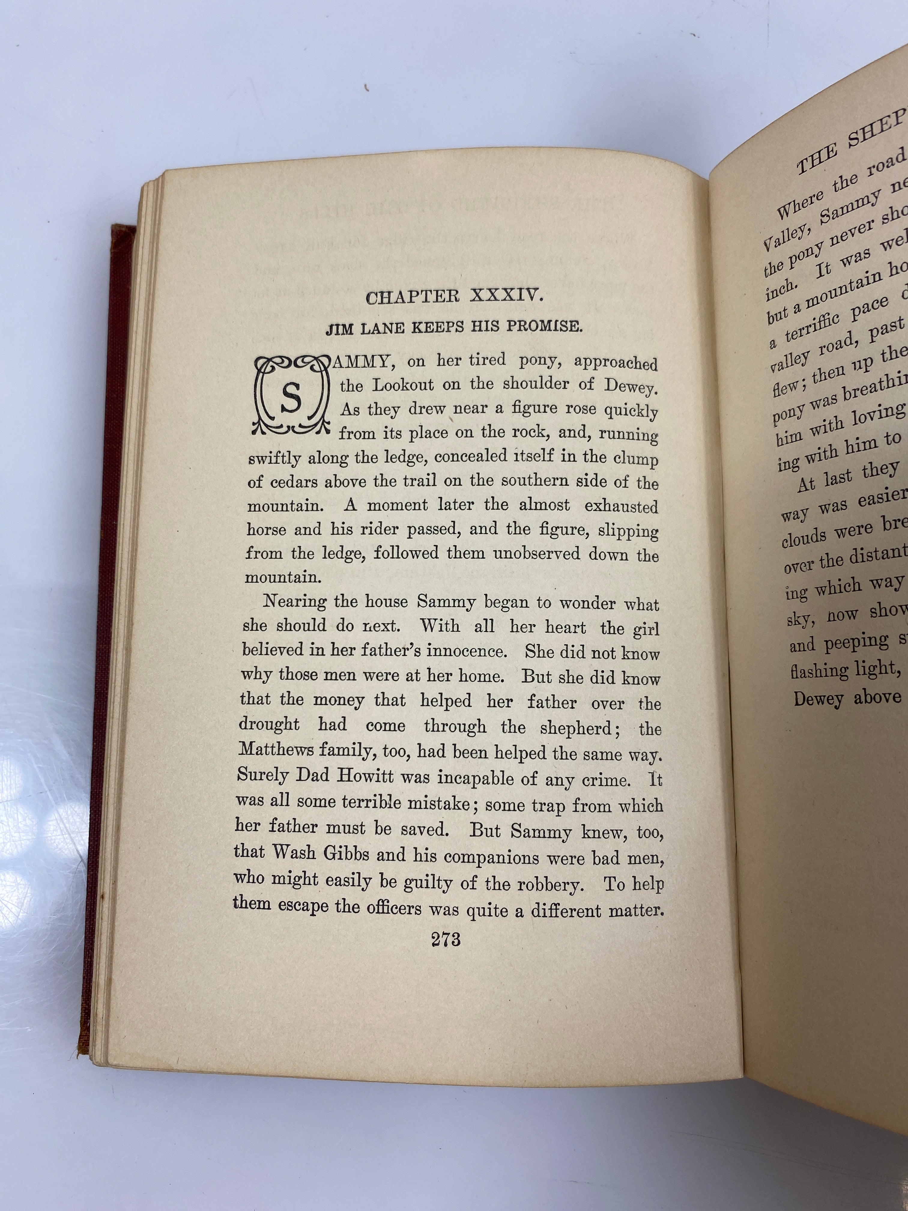 The Shepherd of the Hills by Wright 1907 HC