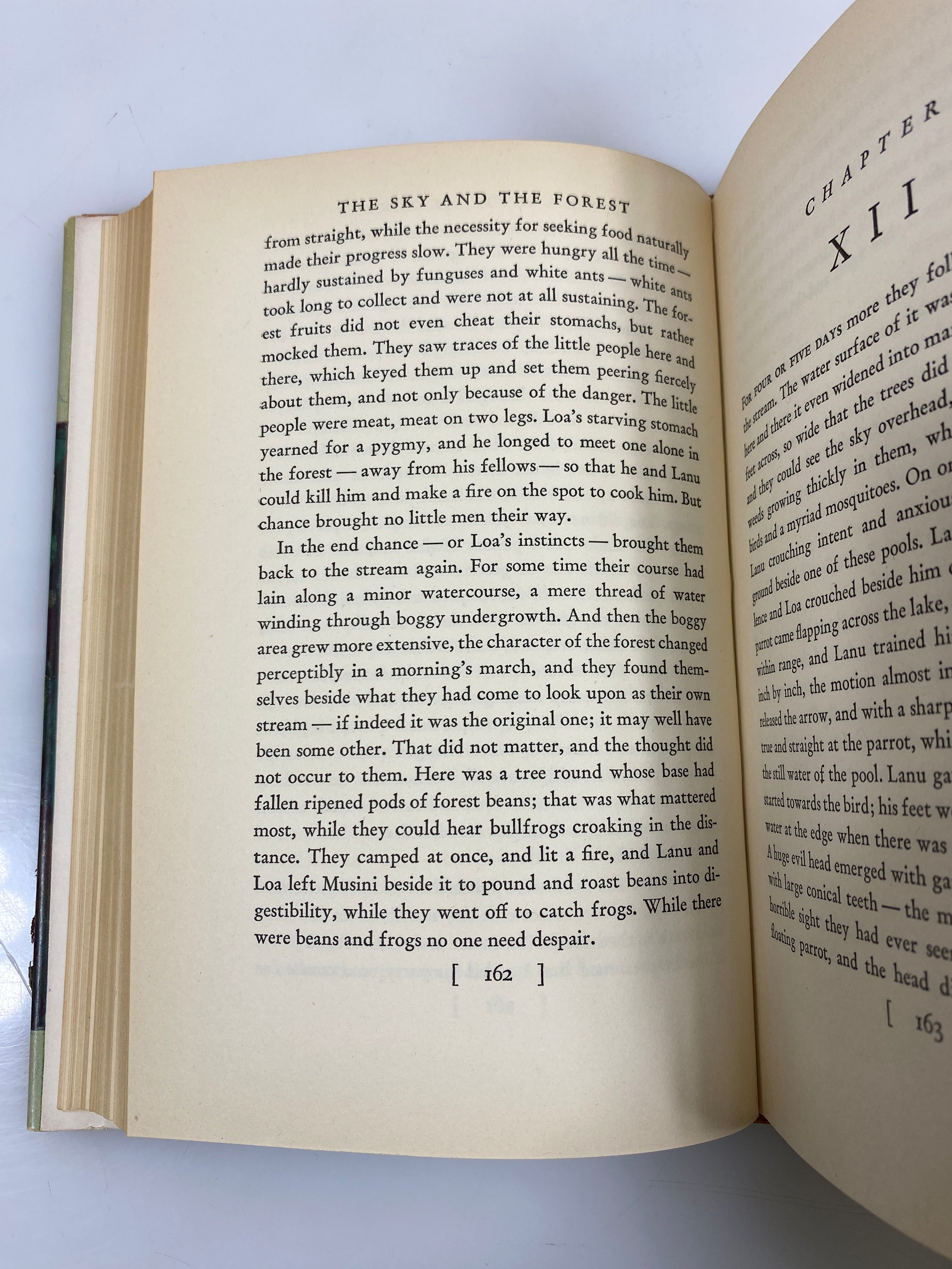 The Sky and the Forest by C.S. Forester 1948 HC