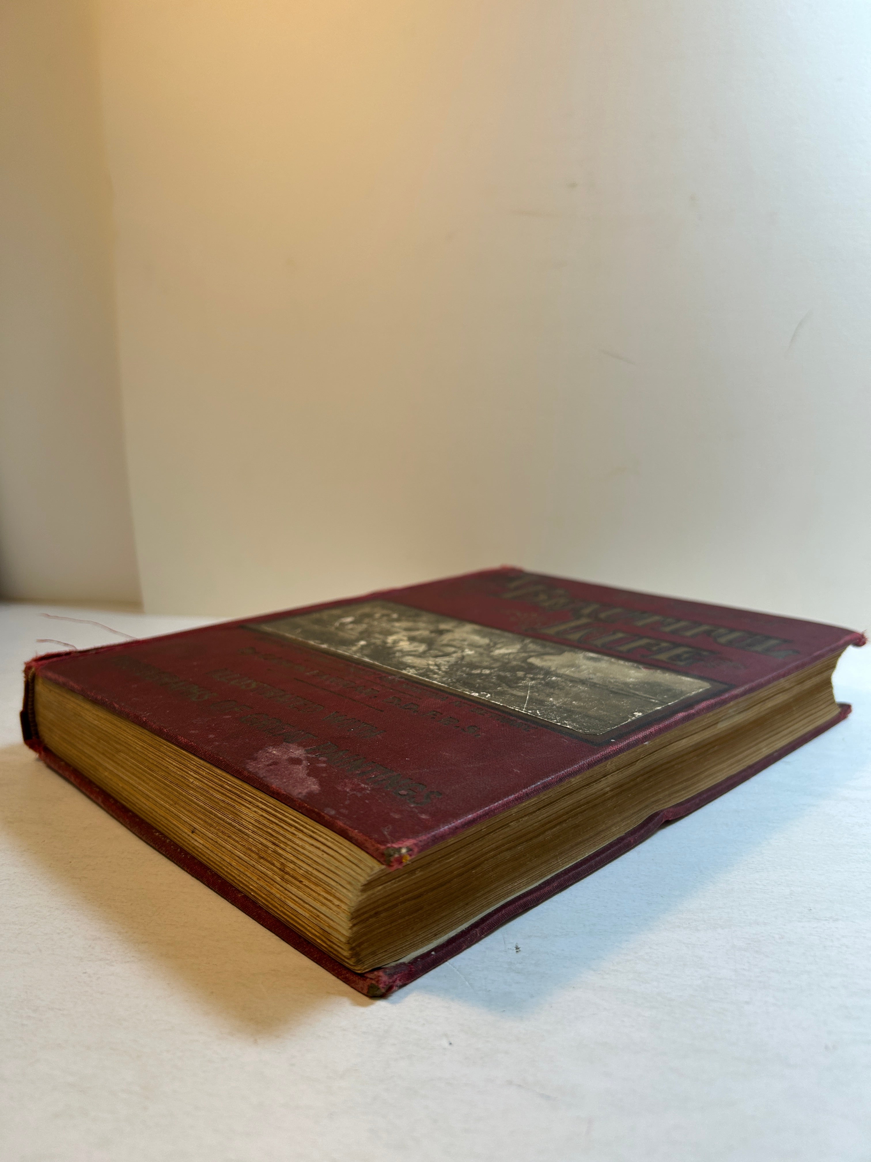 The Story of a Beautiful Life by Canon Farrar 1900 Henry Neil HC