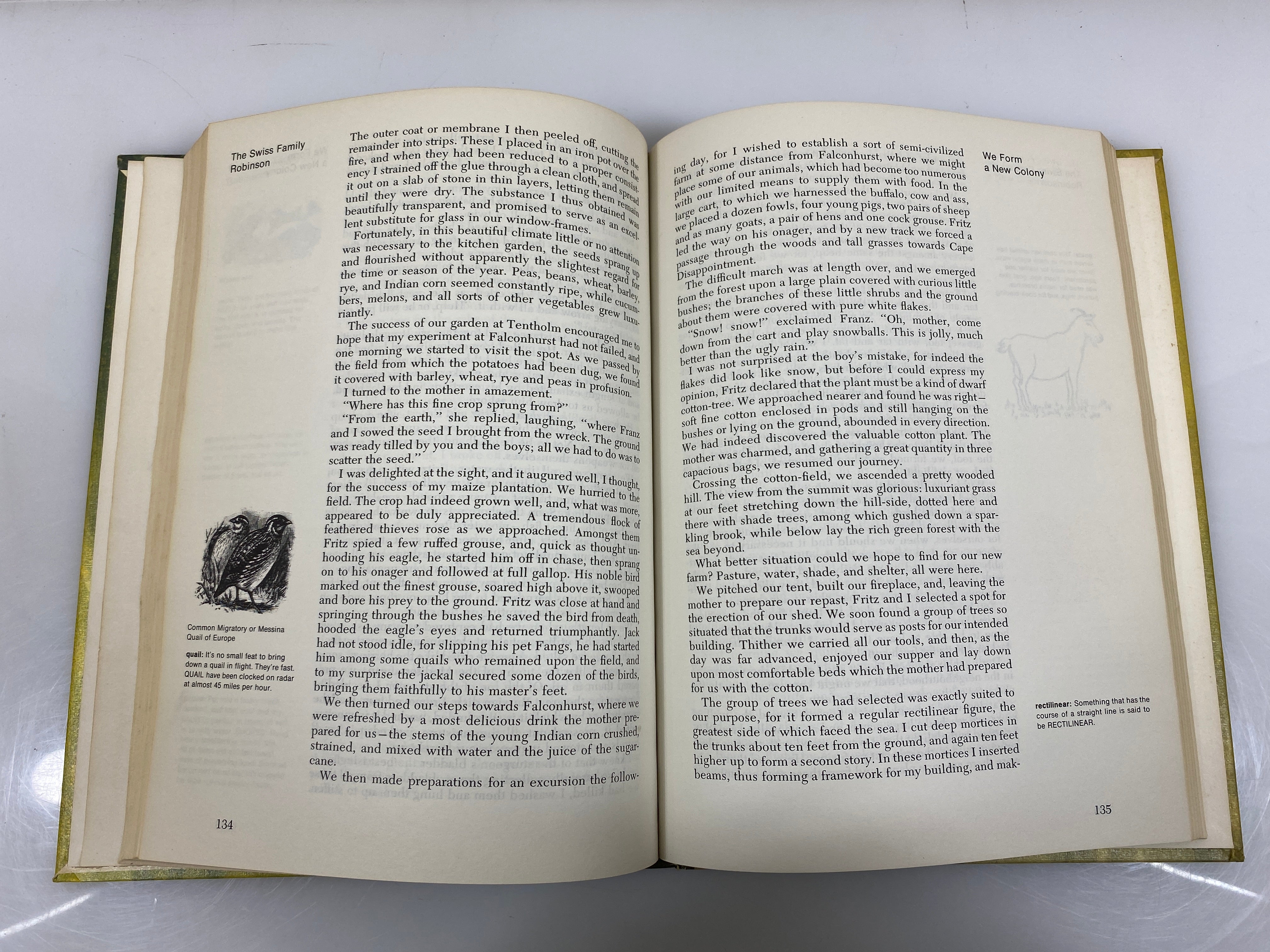 The Swiss Family Robinson by Wyss Classic Press 1968 HC
