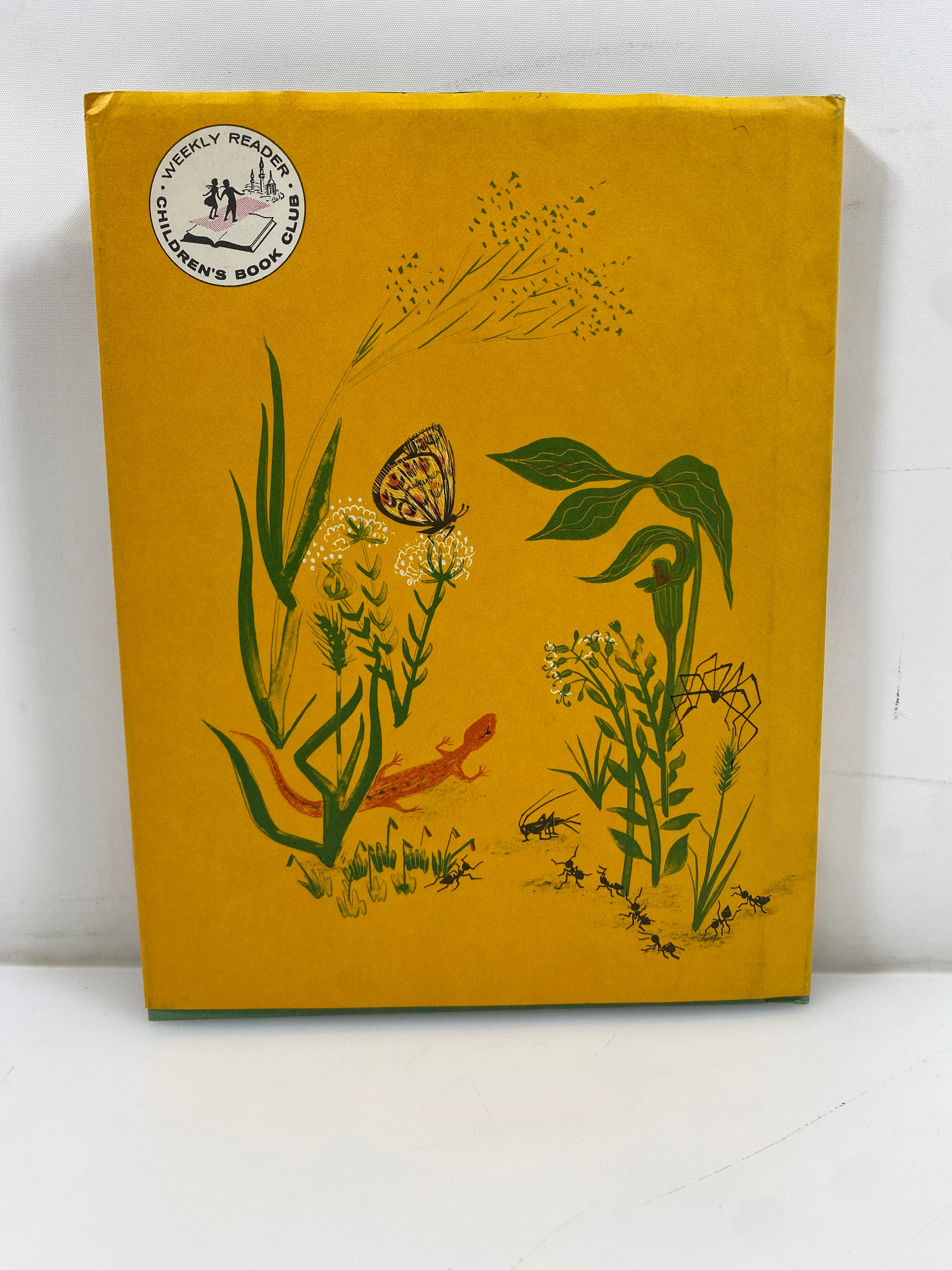 The Tall Grass Zoo Lubell/Lubell Weekly Reader Children's Book Club 1961 HCDJ