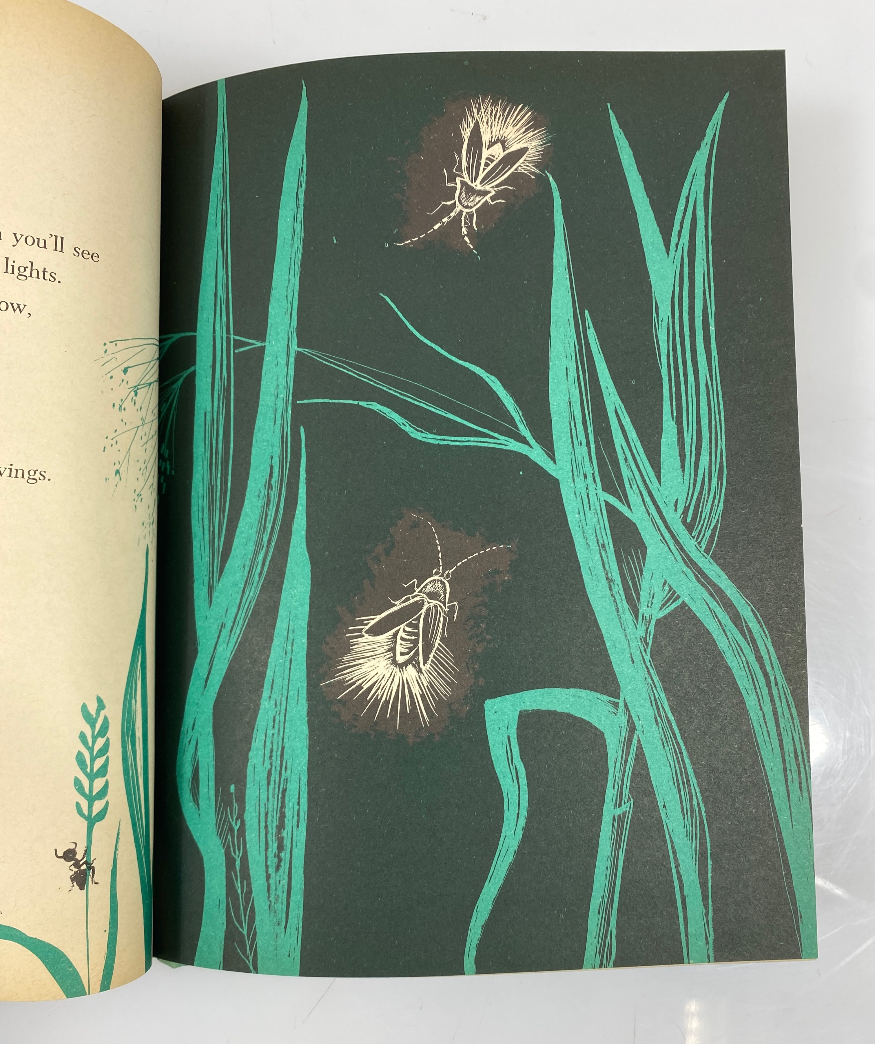 The Tall Grass Zoo Lubell/Lubell Weekly Reader Children's Book Club 1961 HCDJ