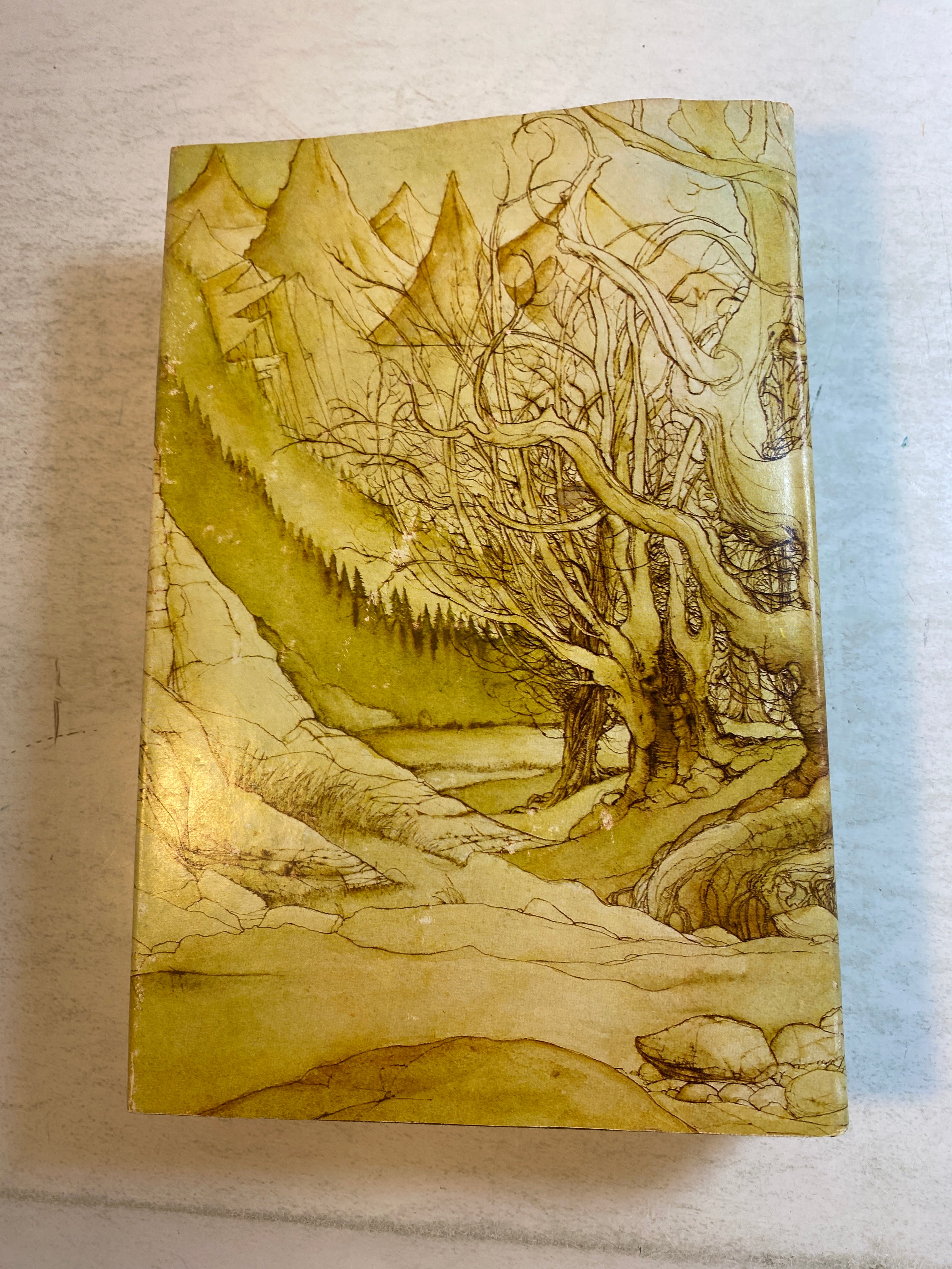 The Tolkien Companion JEA Tyler HCDJ 1976