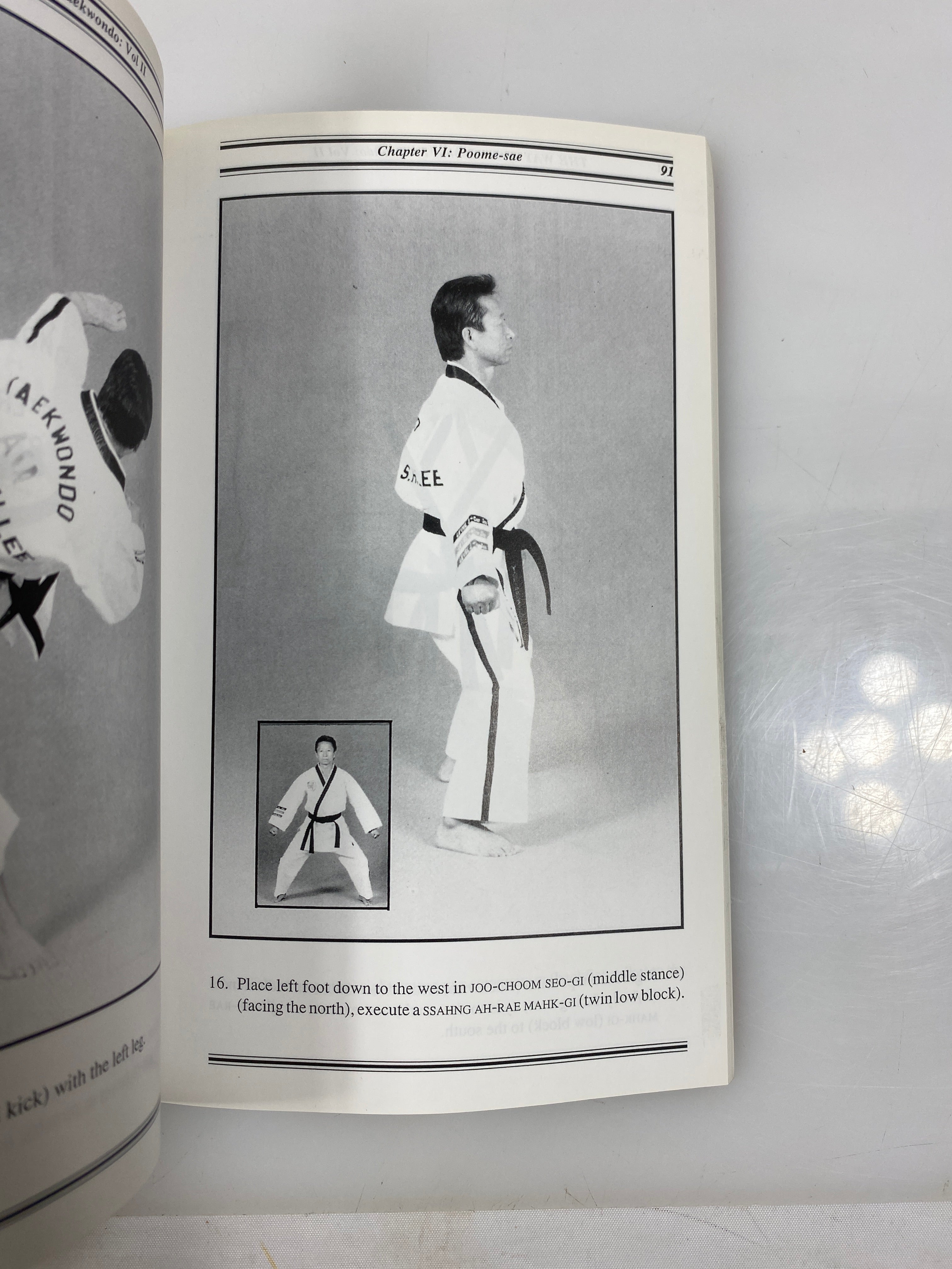 The Way of Tradition Taekwondo Vol. 8 Orange Belt by Lee 95 SC