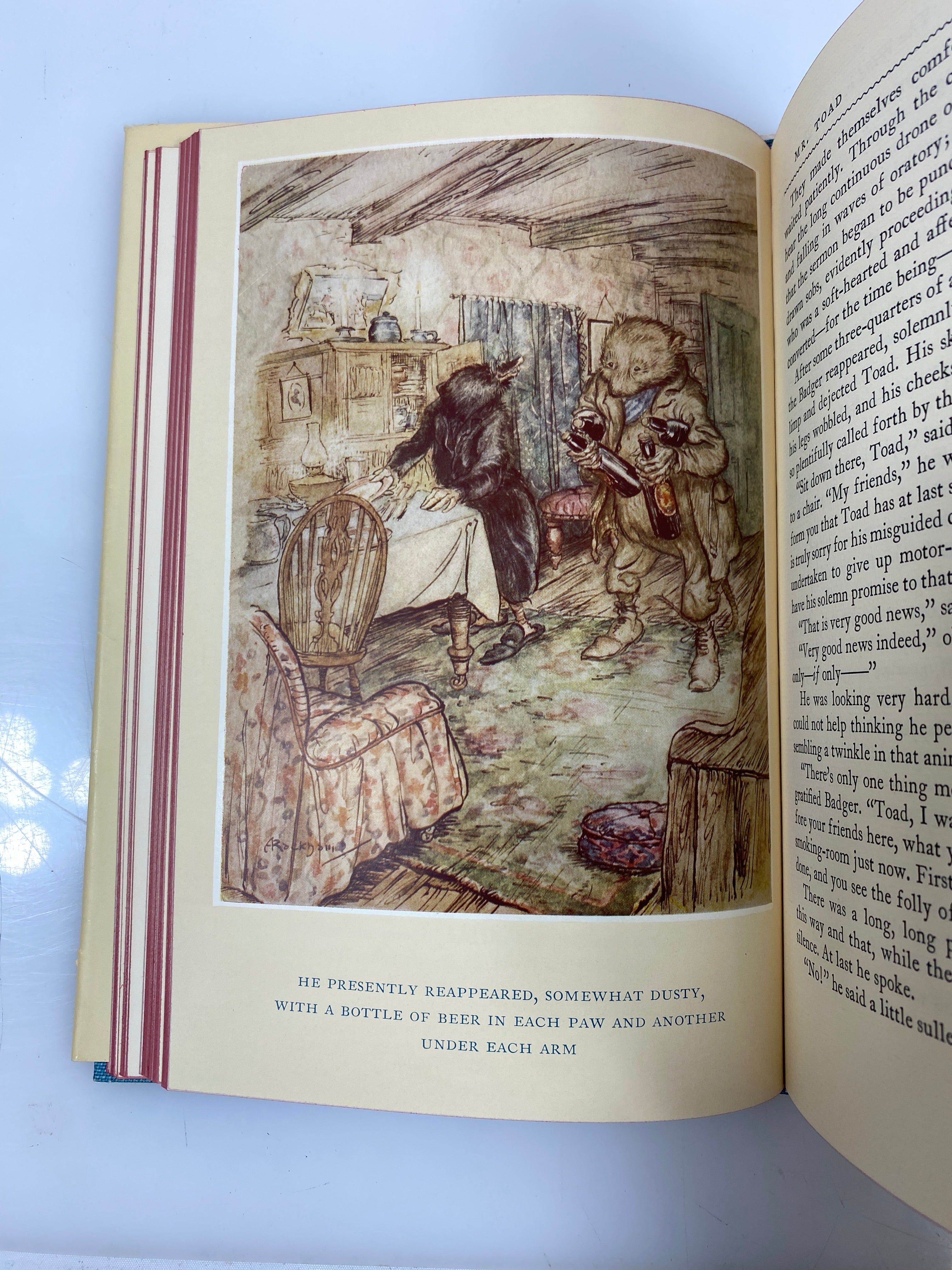 The Wind in the Willows Heritage Illustrated Bookshelf 1962 HC Slipcase