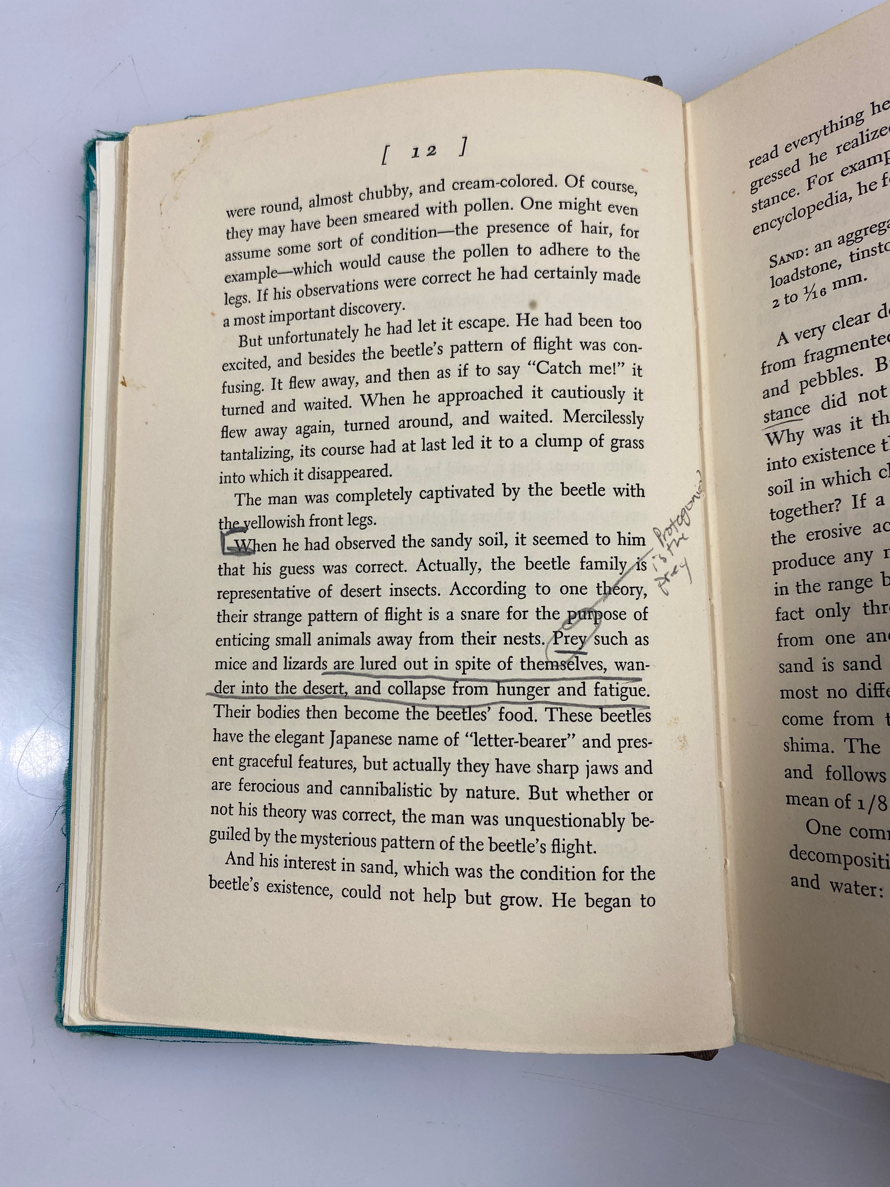 The Woman in the Dunes by Kobo Abe 1964 Ex-library 1964 HC