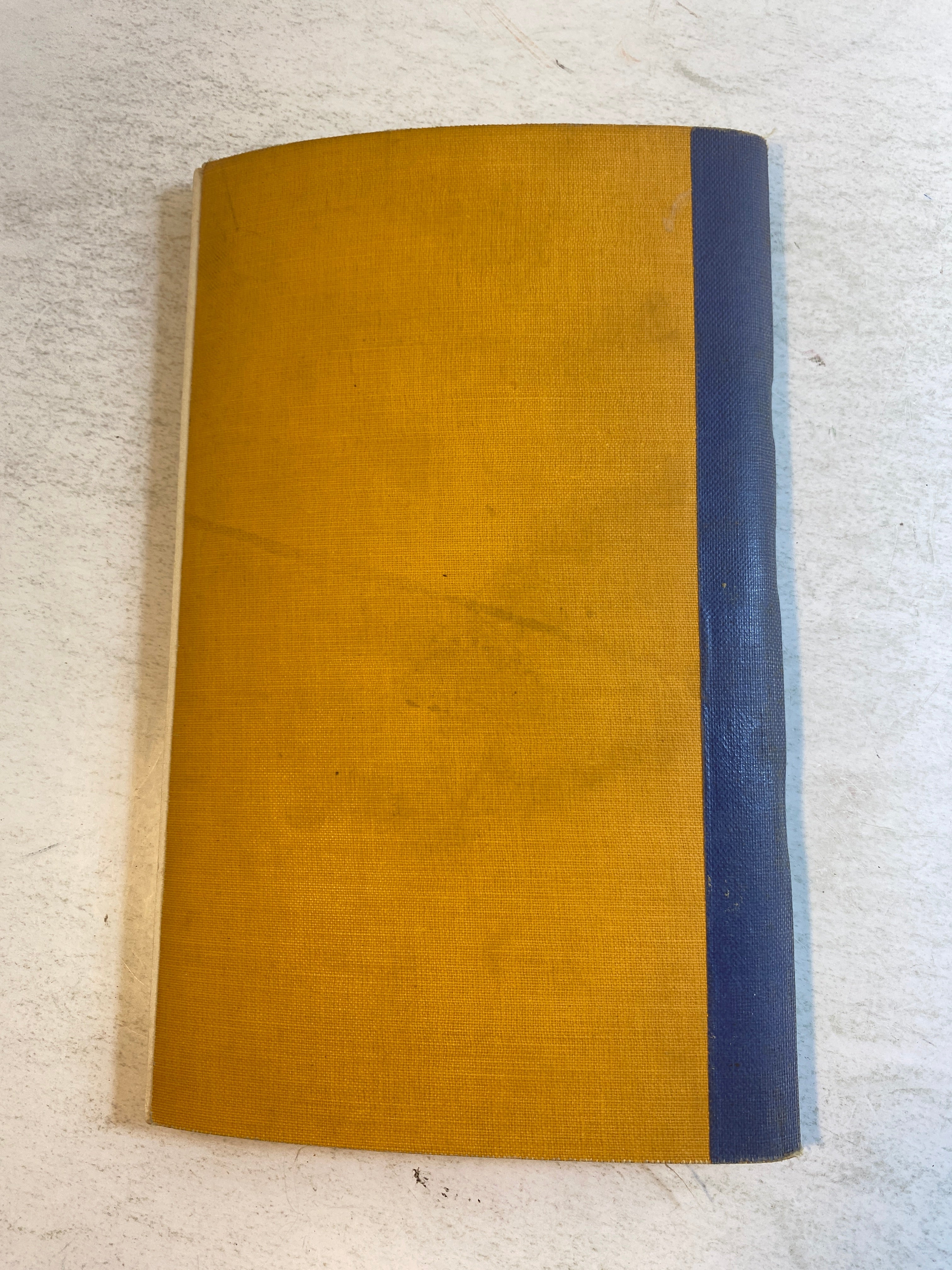 The Yellow and Blue Cook Book 1923 SC