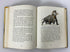 They Were Brave and Bold The Wonder-Story Books Harper & Row 1962 HC