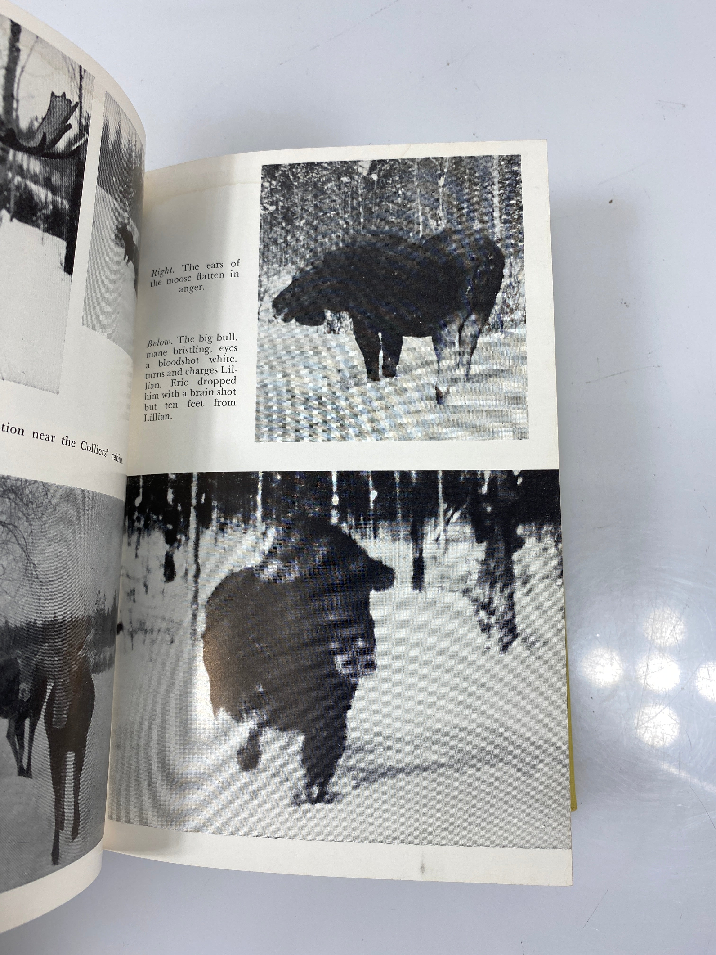 Three Against the Wilderness Eric Collier EP Dutton 6th 1960 HC