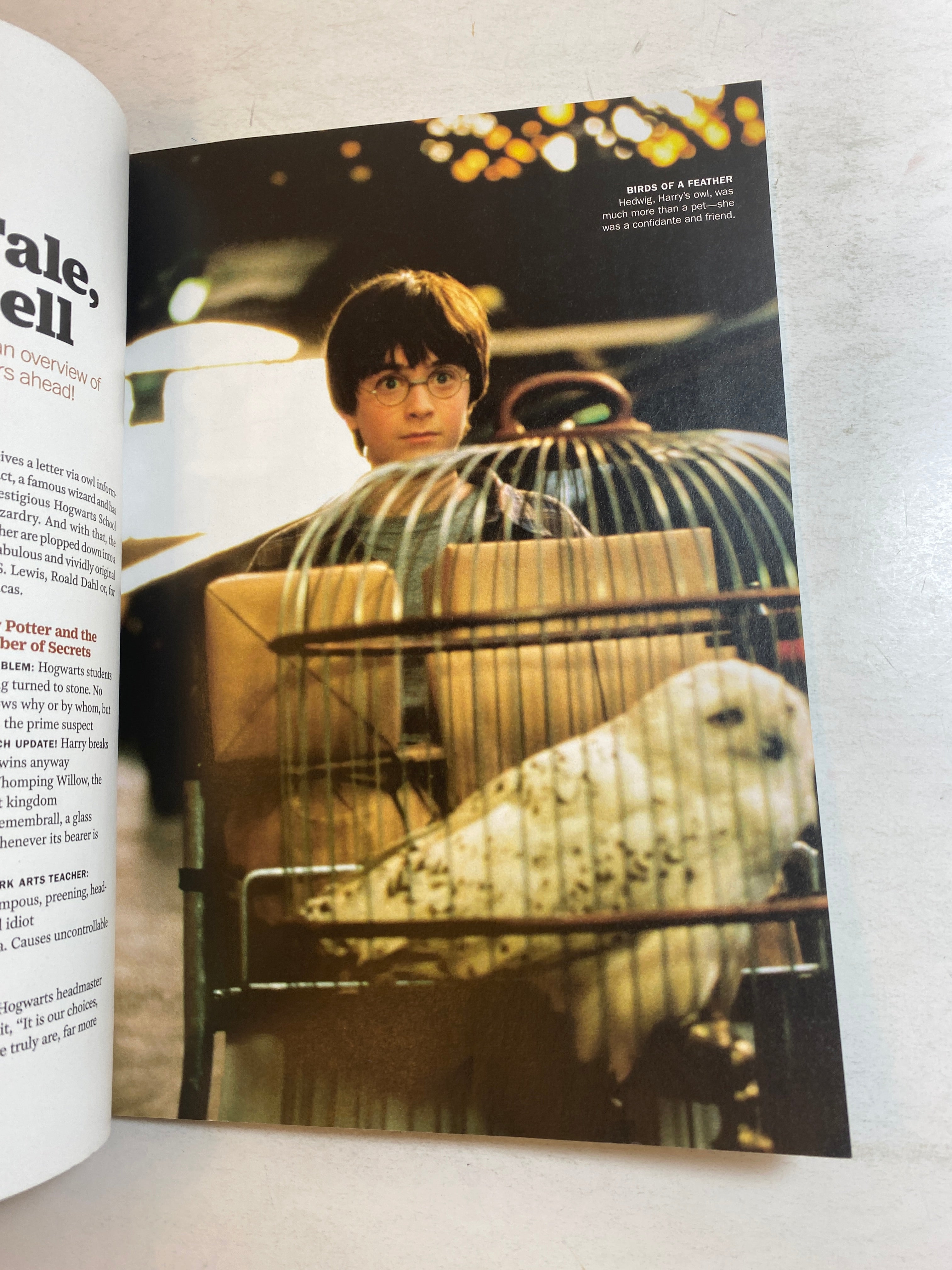 Time Special Edition Harry Potter 2019