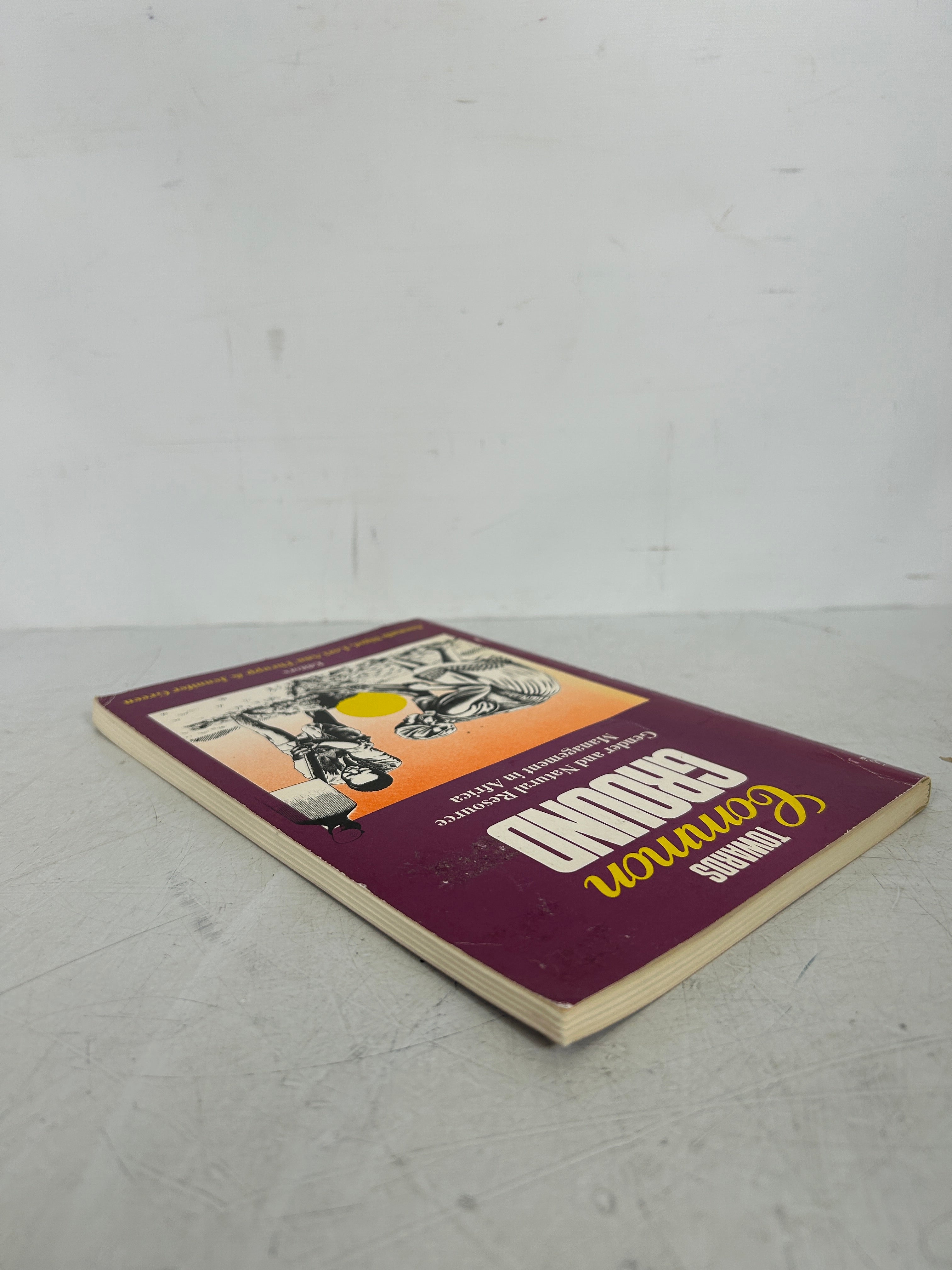Towards Common Ground: by African Centre for Technology Studies 1995 SC