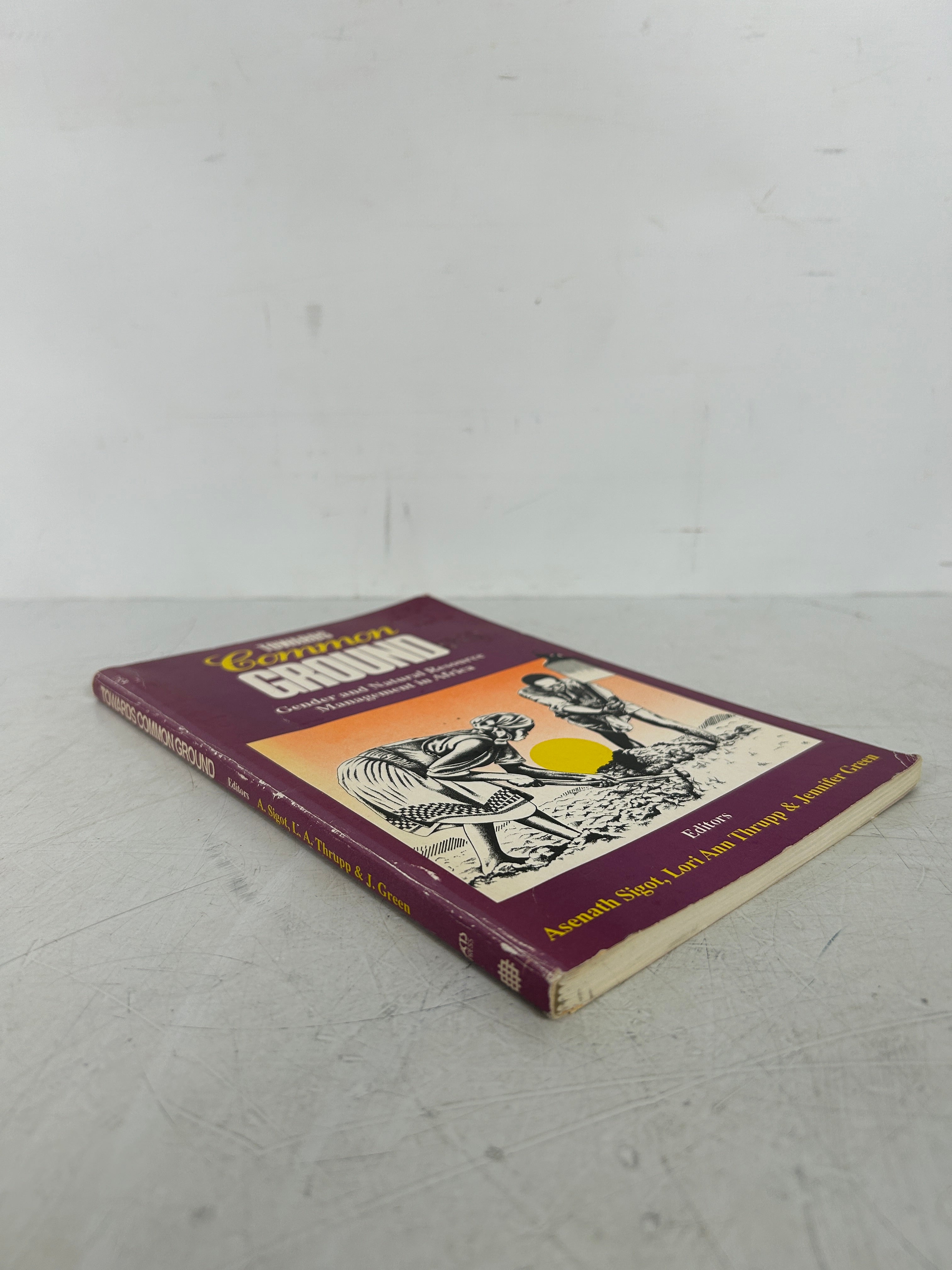 Towards Common Ground: by African Centre for Technology Studies 1995 SC
