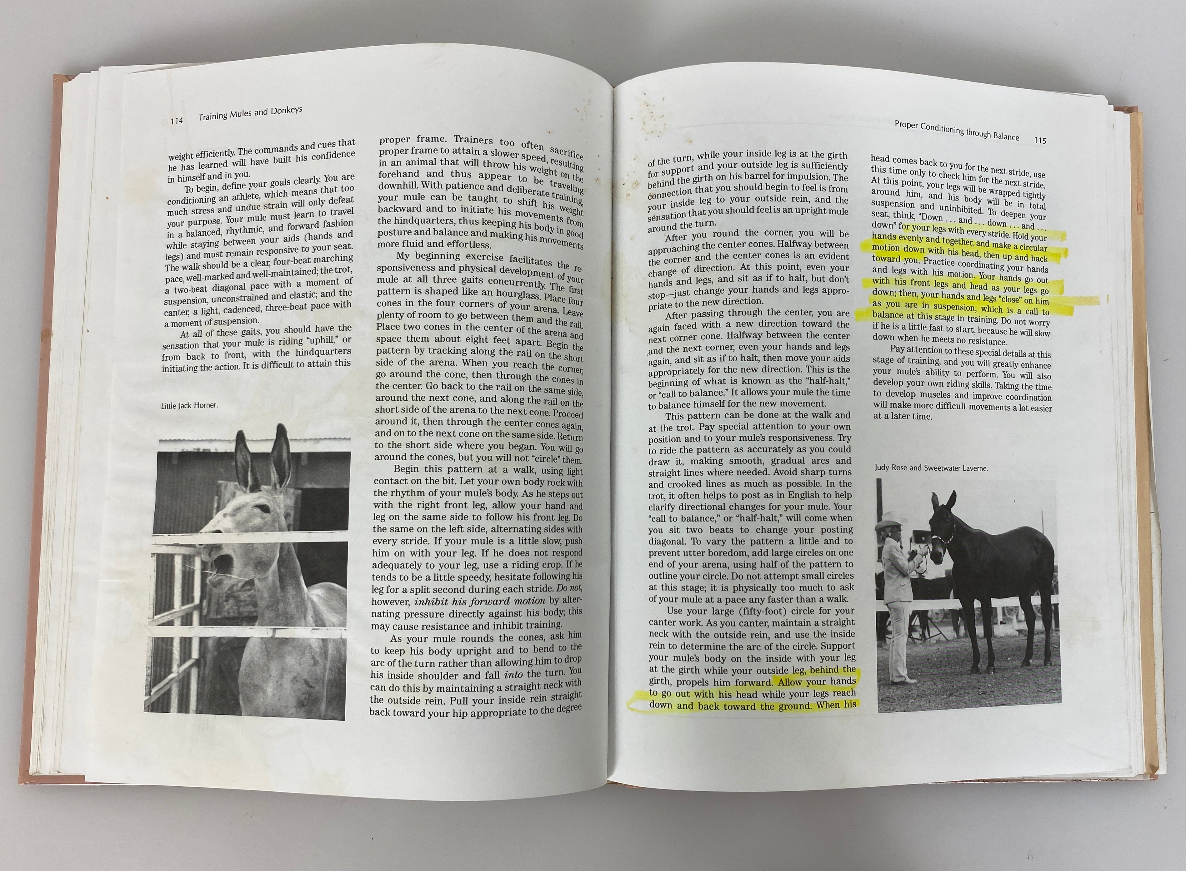 Training Mules and Donkeys by Meredith Hodges 1993 HCDJ w Signed Ephemera