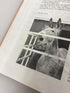 Training Mules and Donkeys by Meredith Hodges 1993 HCDJ w Signed Ephemera