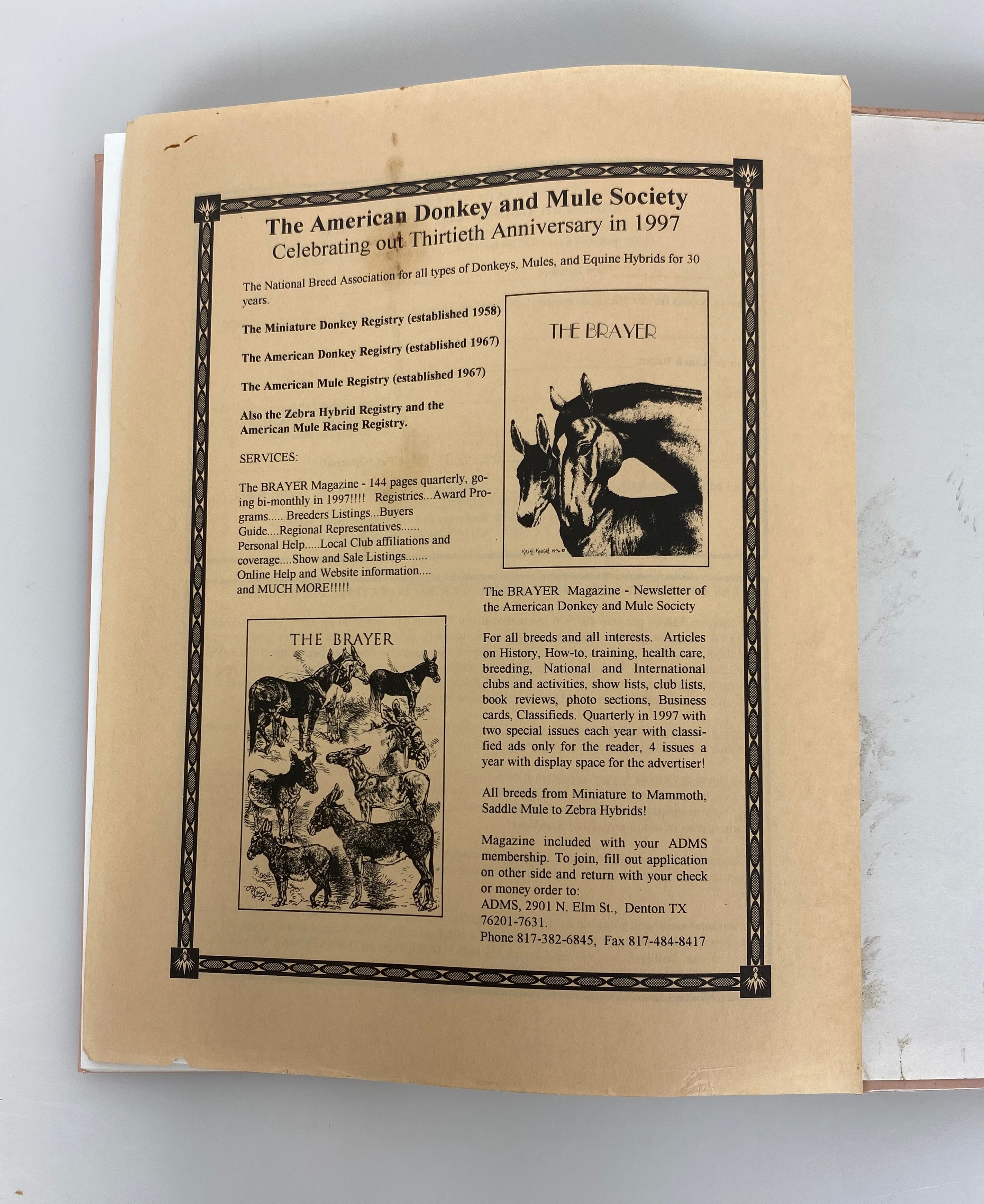 Training Mules and Donkeys by Meredith Hodges 1993 HCDJ w Signed Ephemera