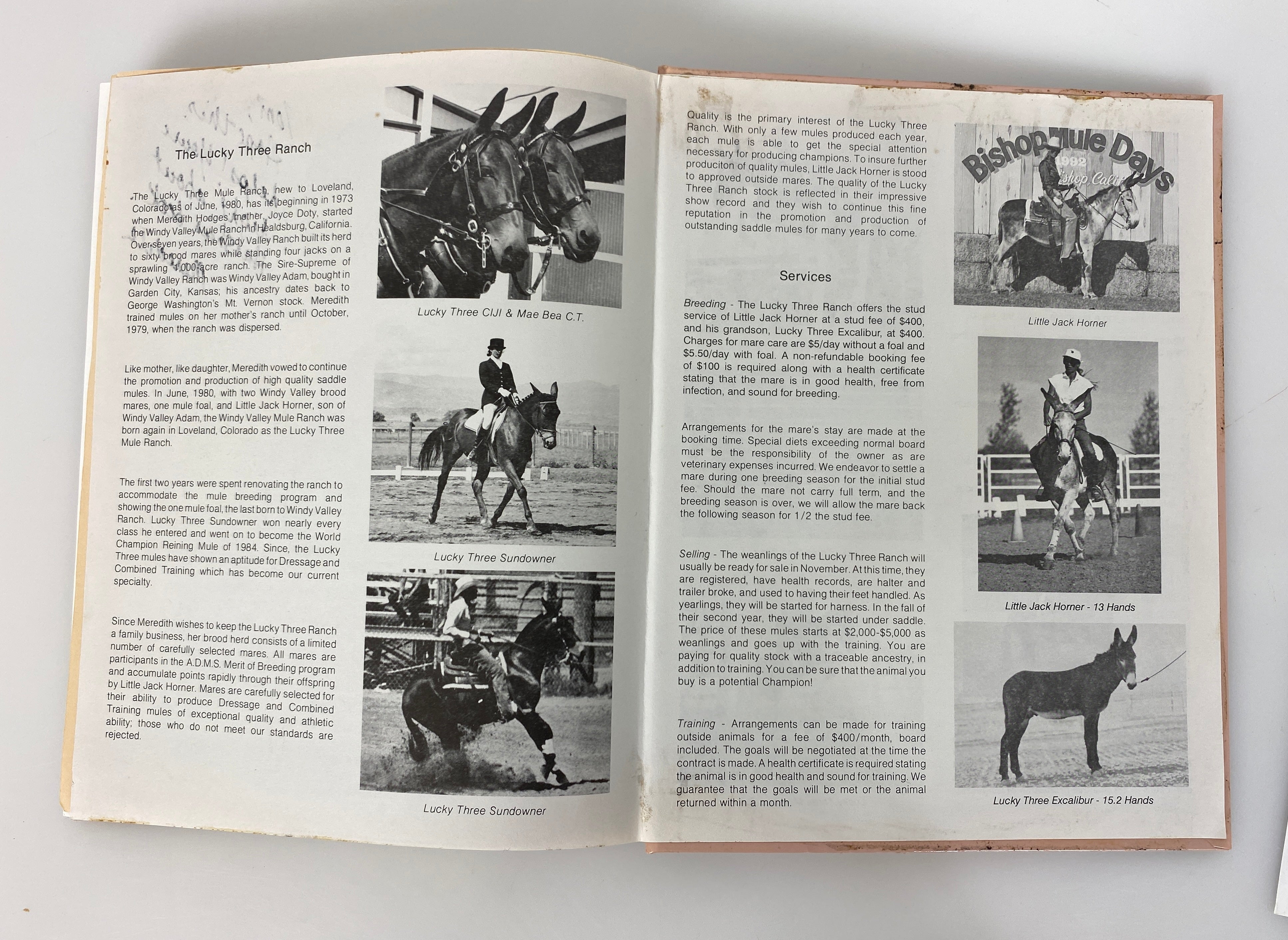 Training Mules and Donkeys by Meredith Hodges 1993 HCDJ w Signed Ephemera