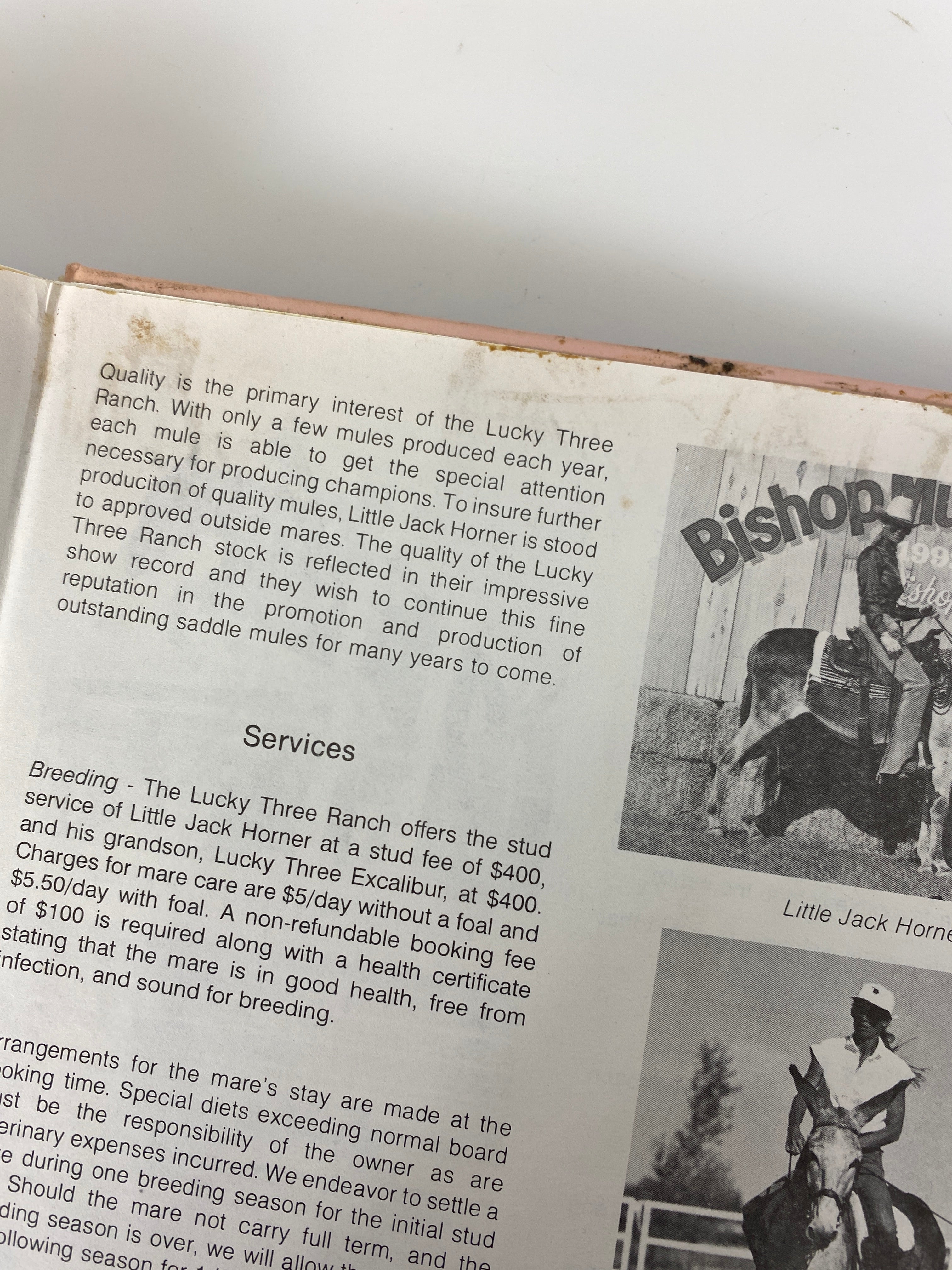 Training Mules and Donkeys by Meredith Hodges 1993 HCDJ w Signed Ephemera