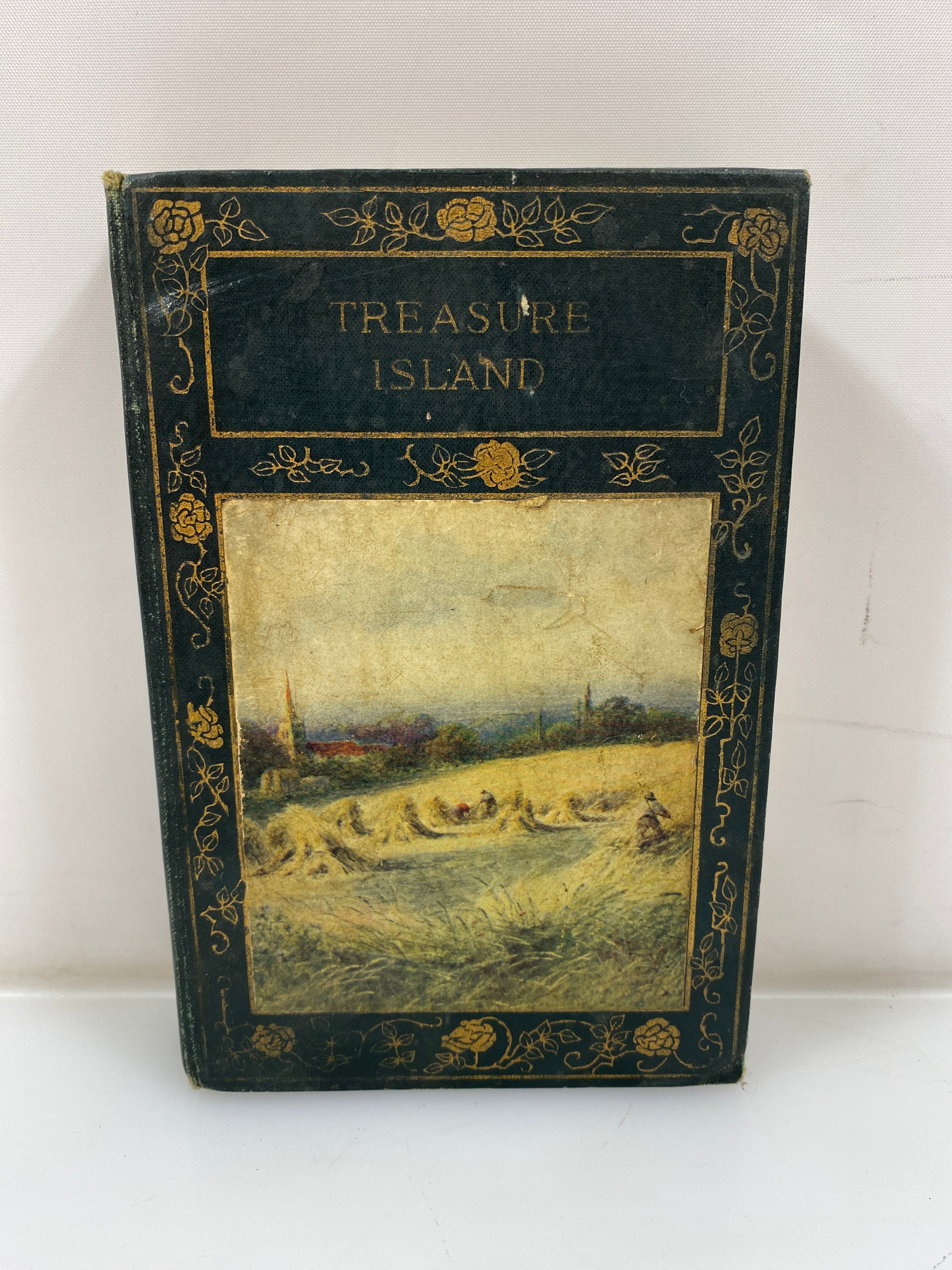 Treasure Island Robert L. Stevenson Henry Altemus Company HC