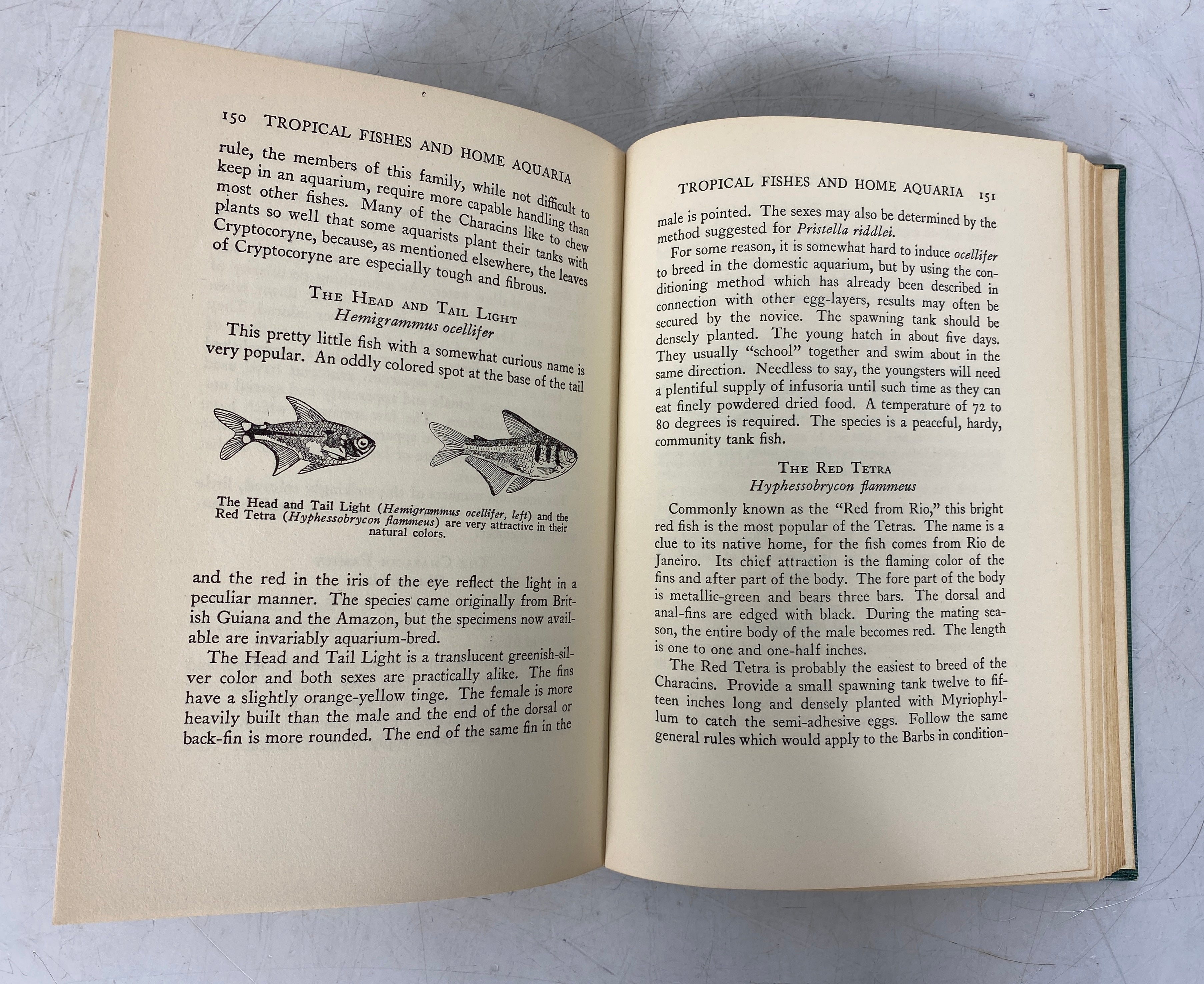 Tropical Fishes and Home Aquaria by Alfred Morgan 1951 Vintage HC