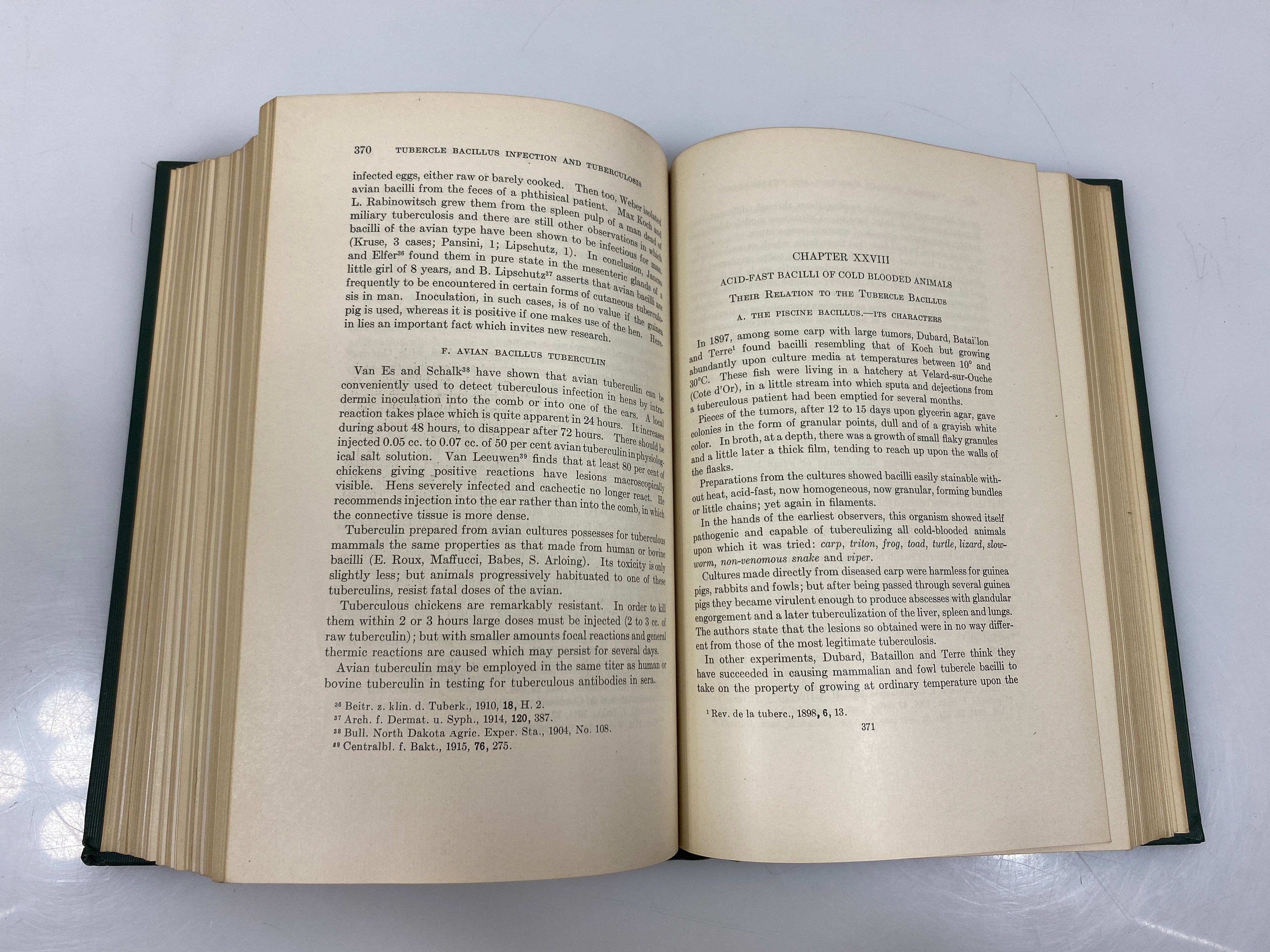 Tubercle Bacillus Infection and Tuberculosis by Calmette Ex-library 1923 HC