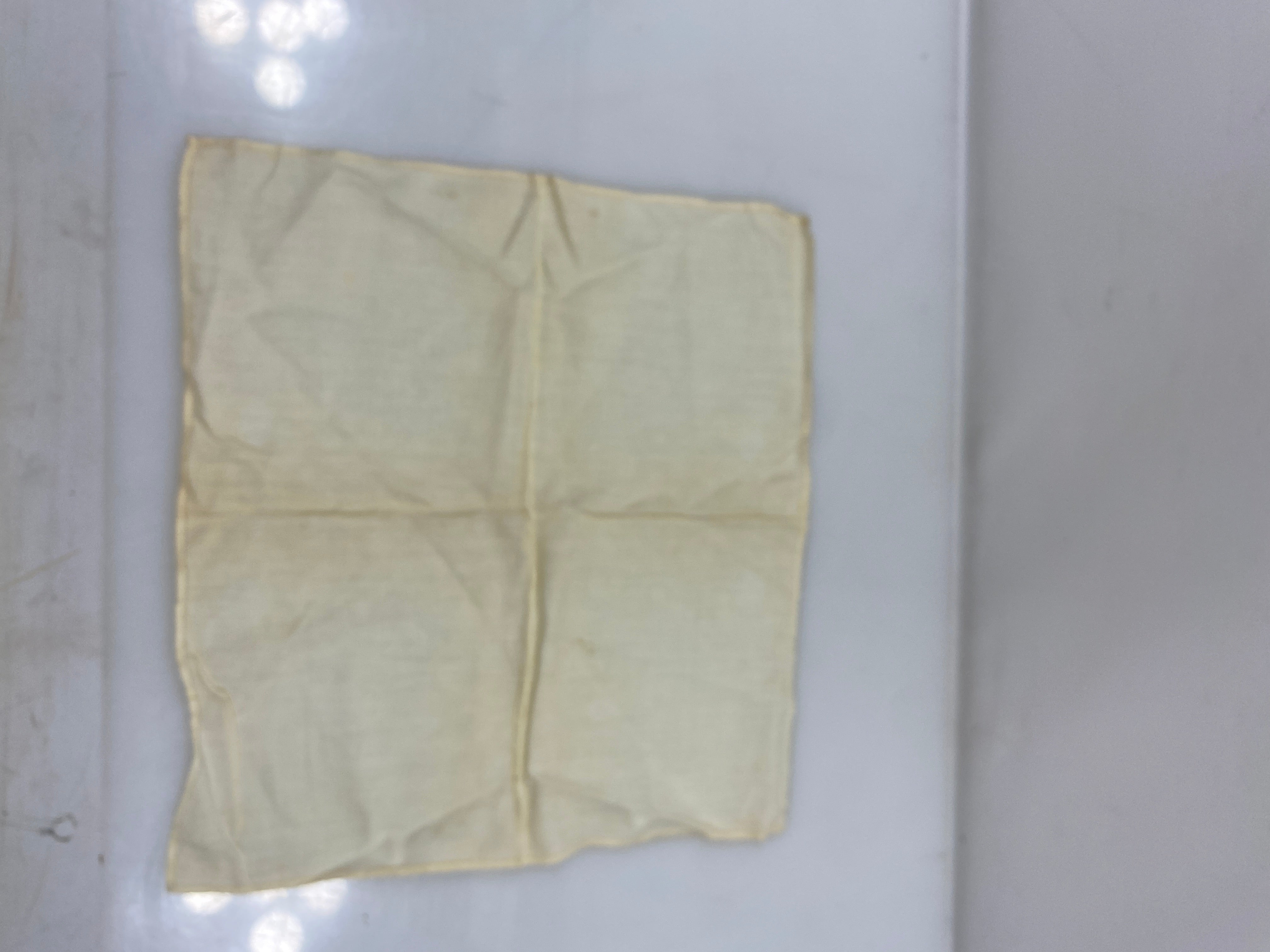Vintage 1900s Tan Linen Handkerchief