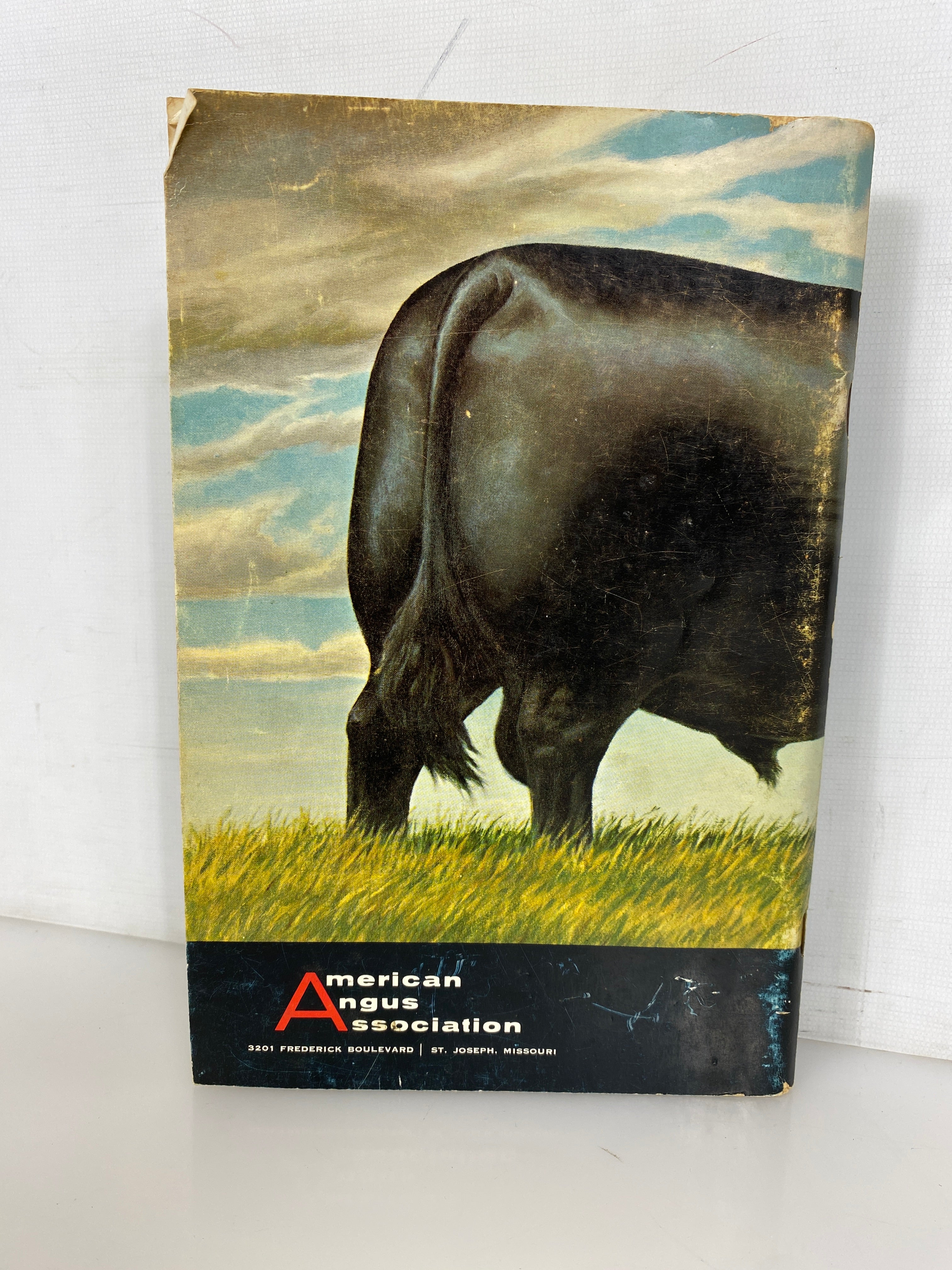Vintage American Angus Association "Life At Its Best" Breeding Angus Cattle SC