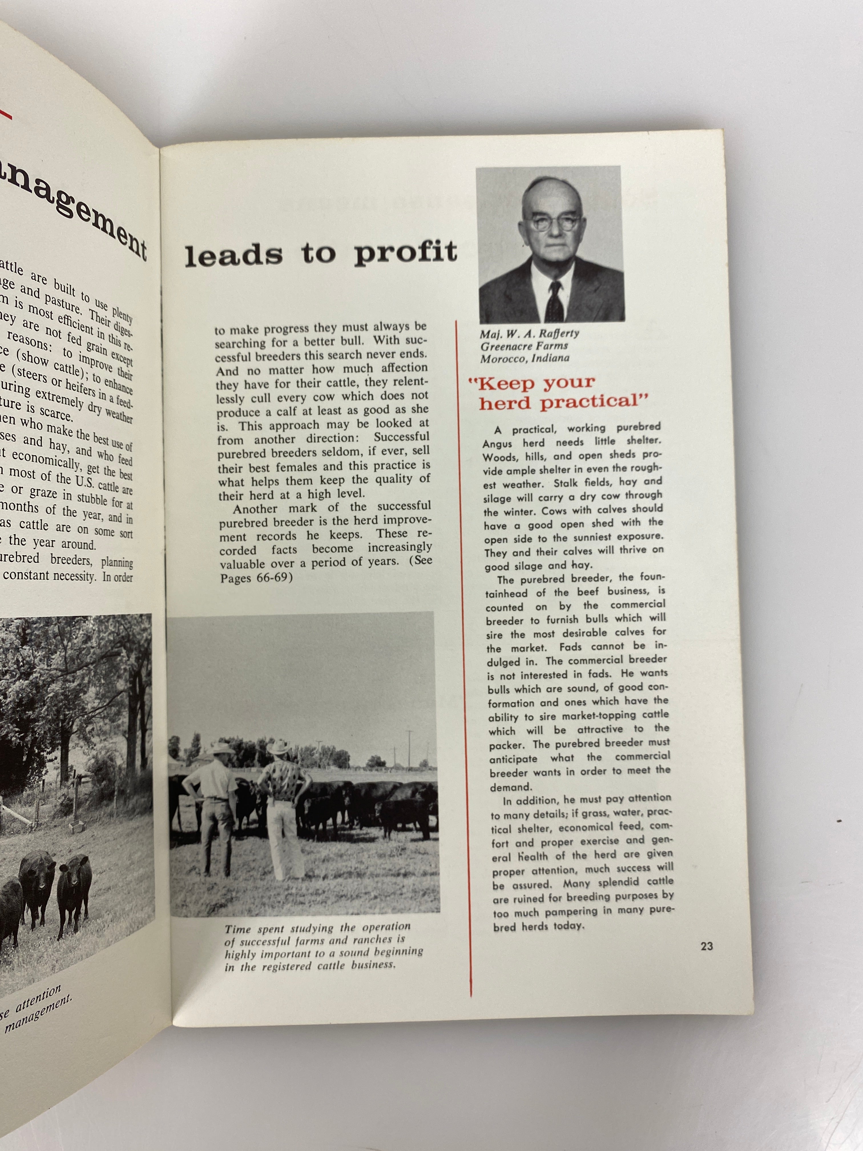 Vintage American Angus Association "Life At Its Best" Breeding Angus Cattle SC