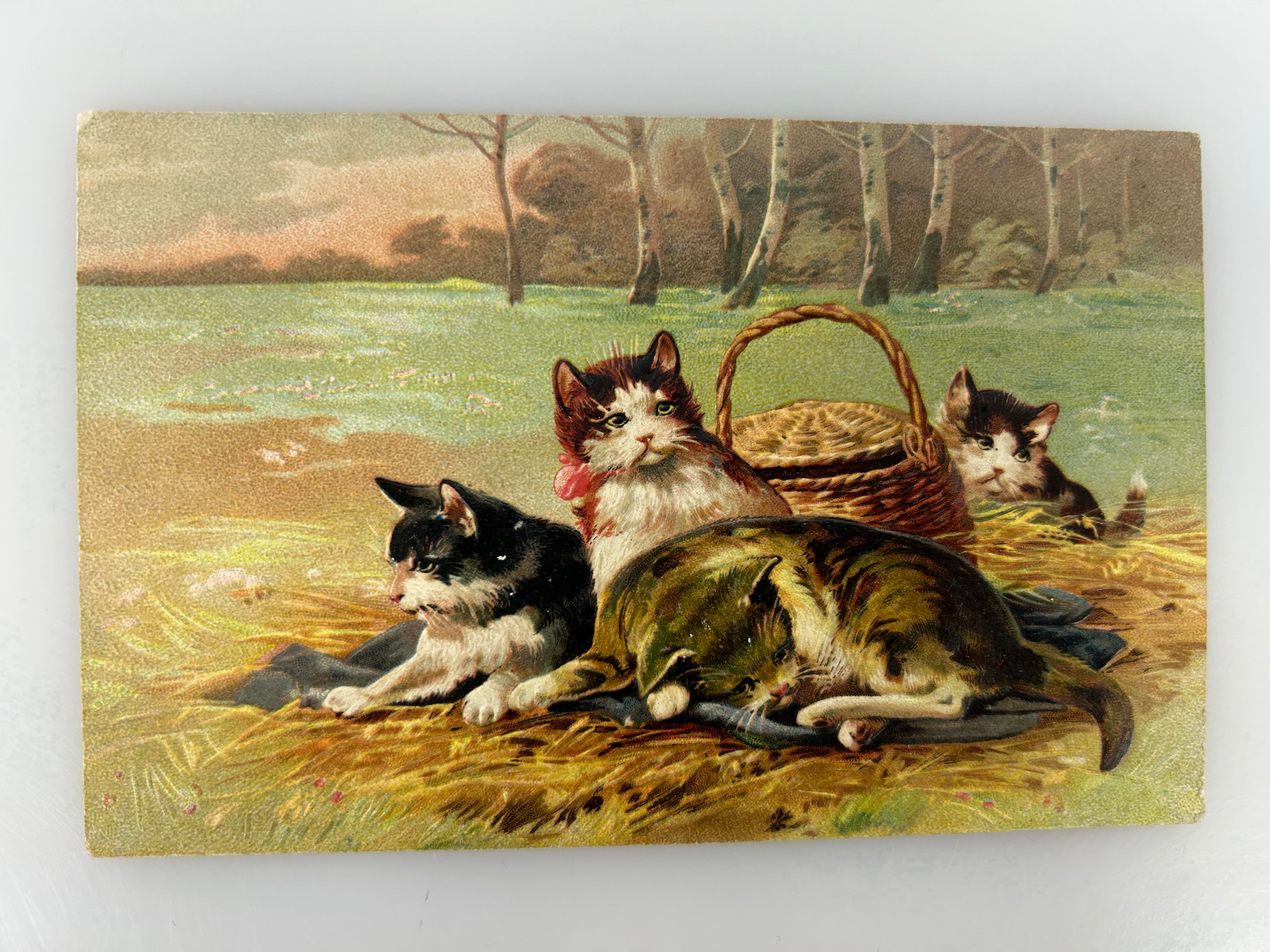 Vintage Embossed Postcard "Three Little Kittens" by Julius Adam the Younger c1900s