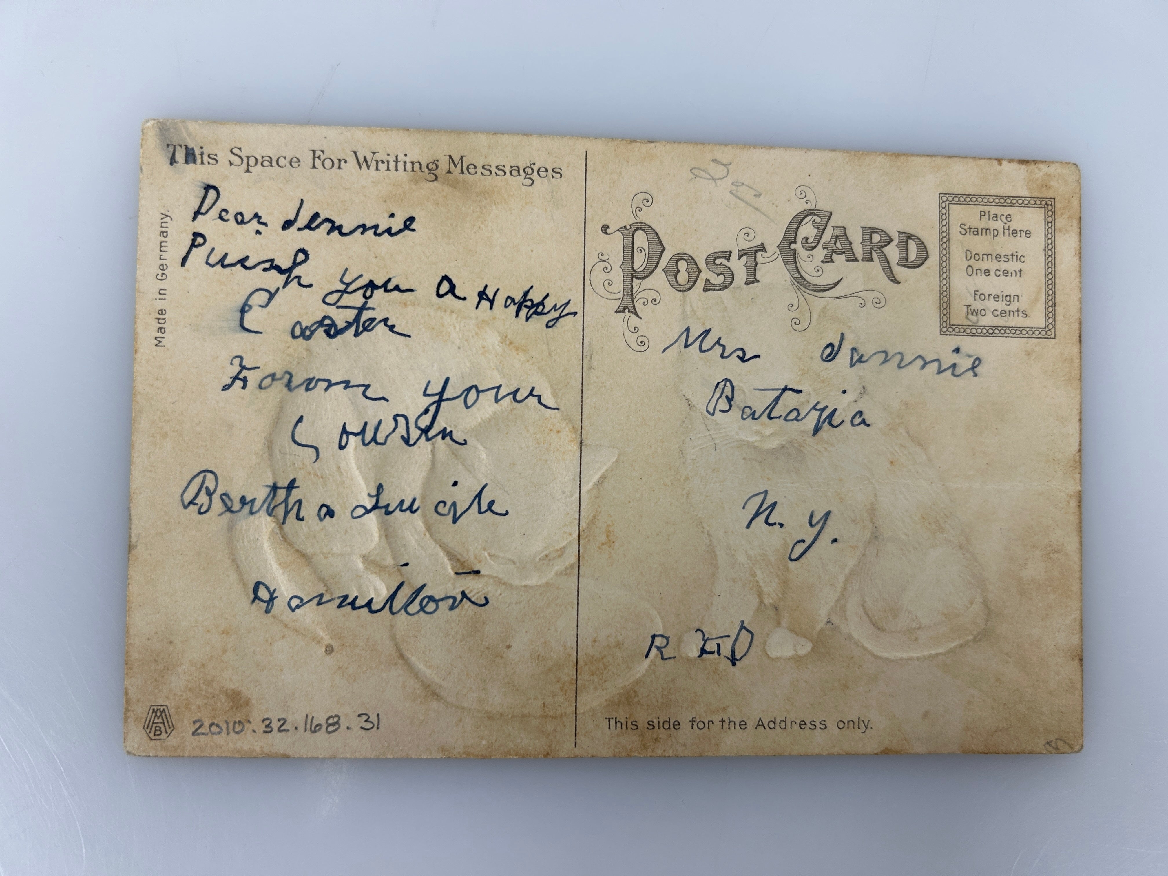 Vintage Embossed Postcard Two White Kittens Arthur Heyer 1900s