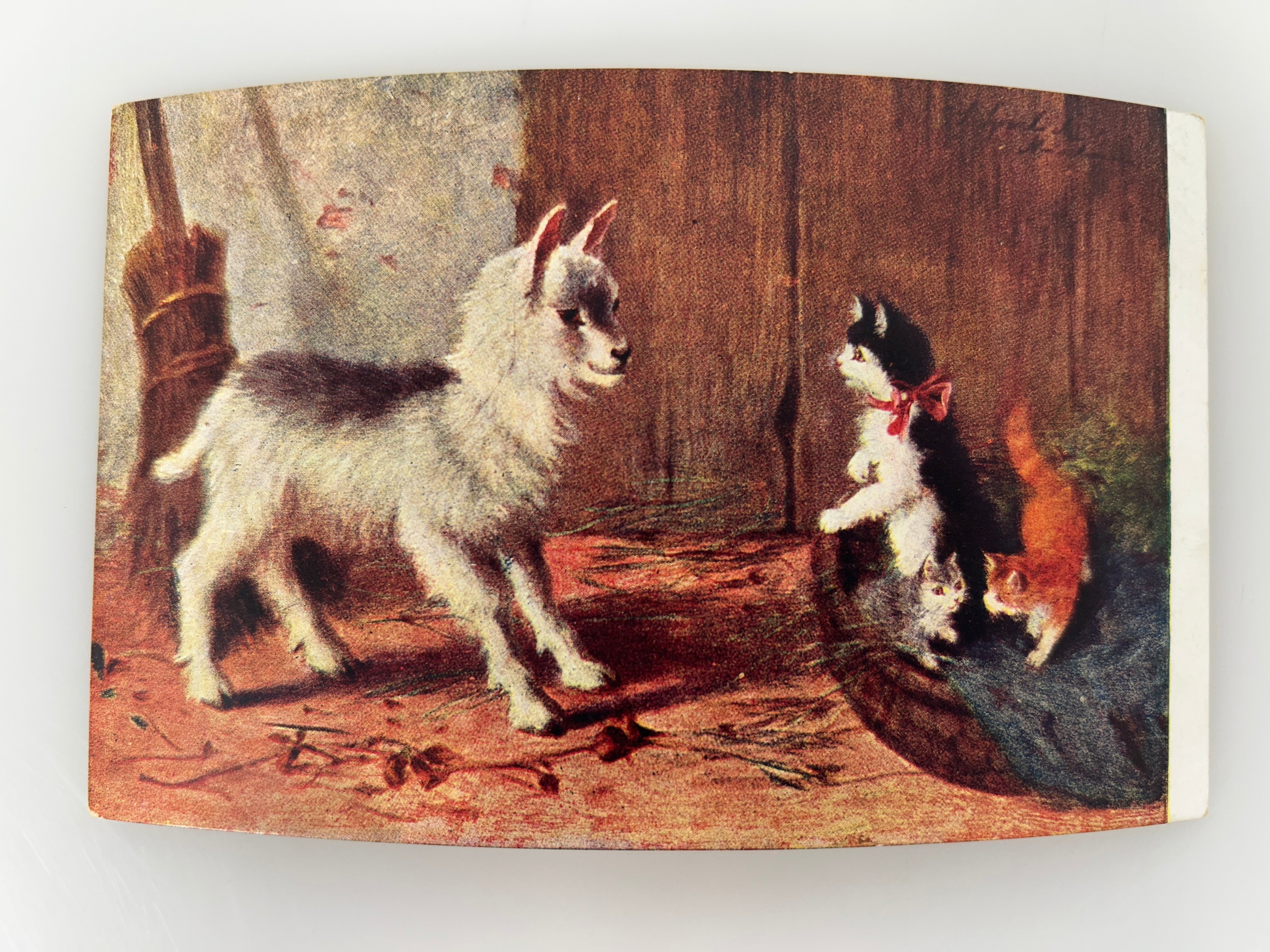 Vintage Goat and Barn Cats Antique Art Postcard c1910 Farm