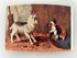 Vintage Goat and Barn Cats Antique Art Postcard c1910 Farm